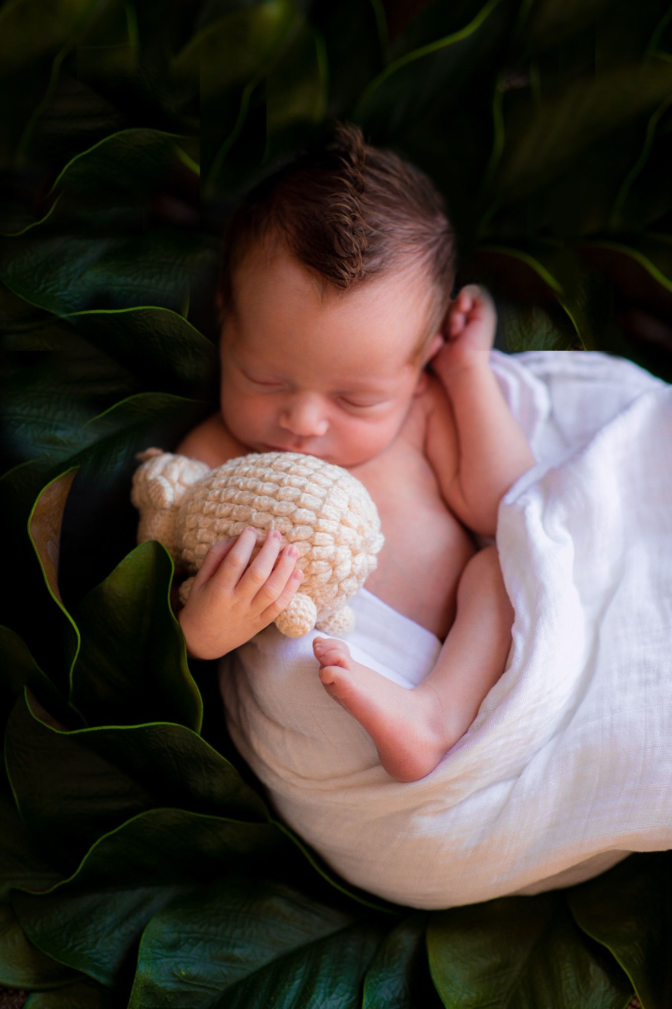 newborn photography