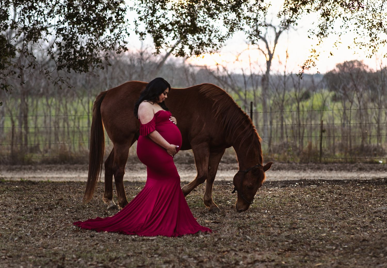Western Maternity photos