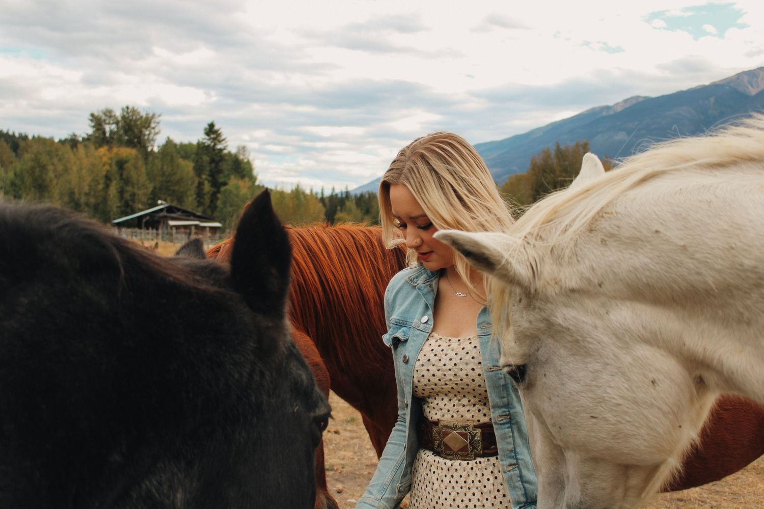 Horses of various colors gathered together in mountain field with cloudy skies.