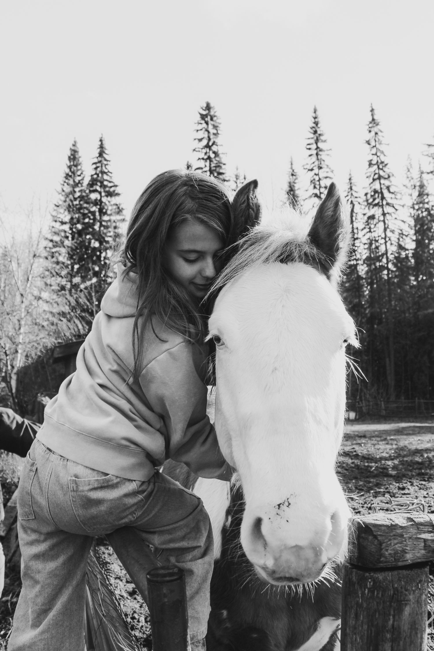 Sweet moments shared with a white horse in a forest setting.