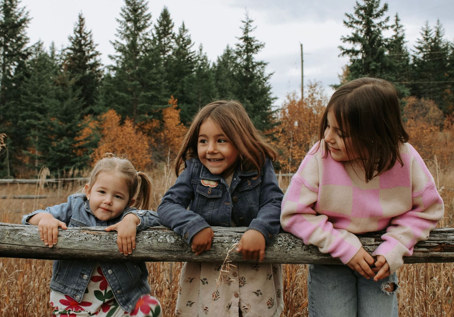 Family members lean over a wooden fence together in a playful pose against an autumn forest backdrop.