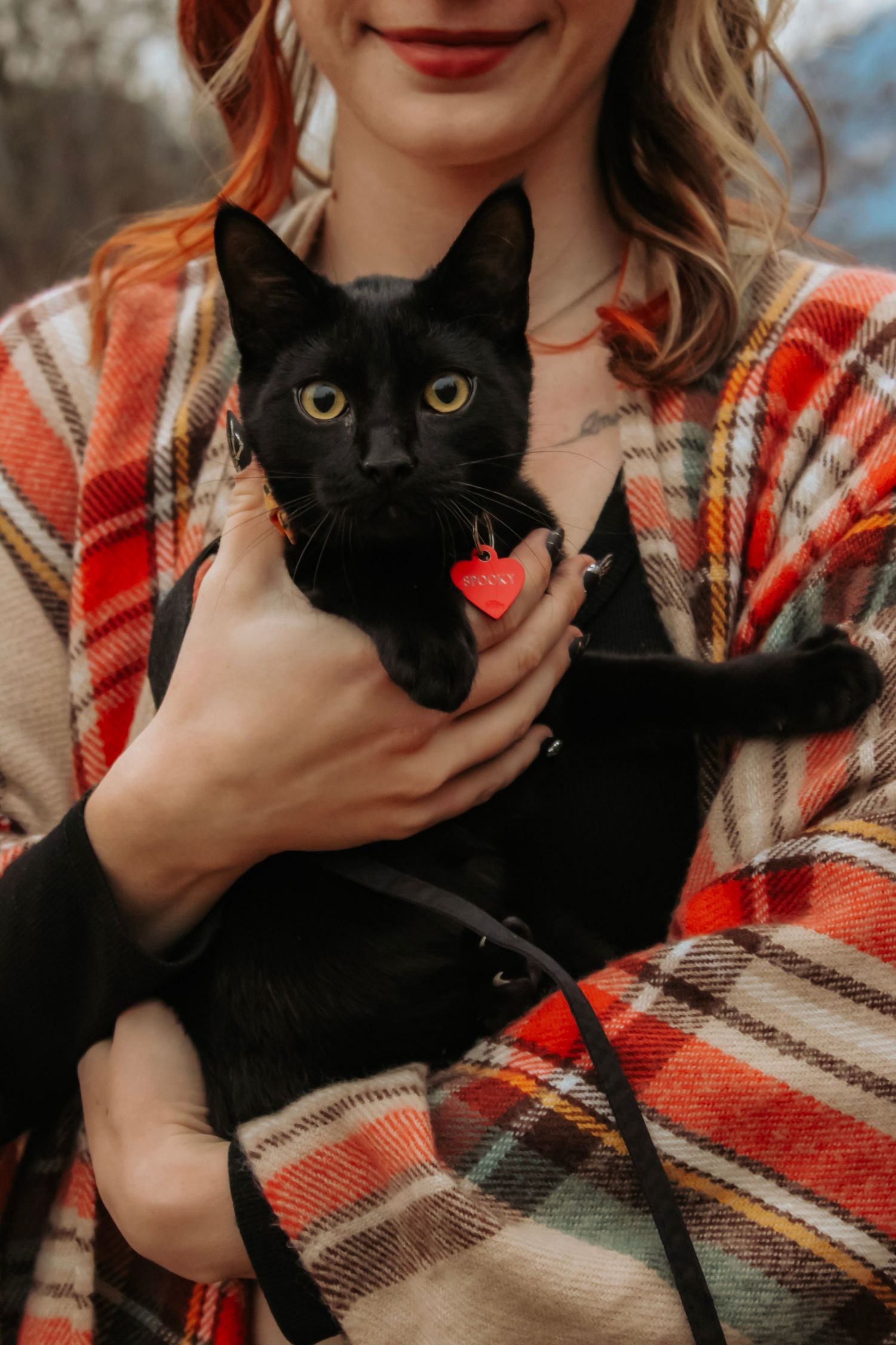 A black cat cuddles against someone wearing a red and beige plaid blanket in a cozy outdoor setting.