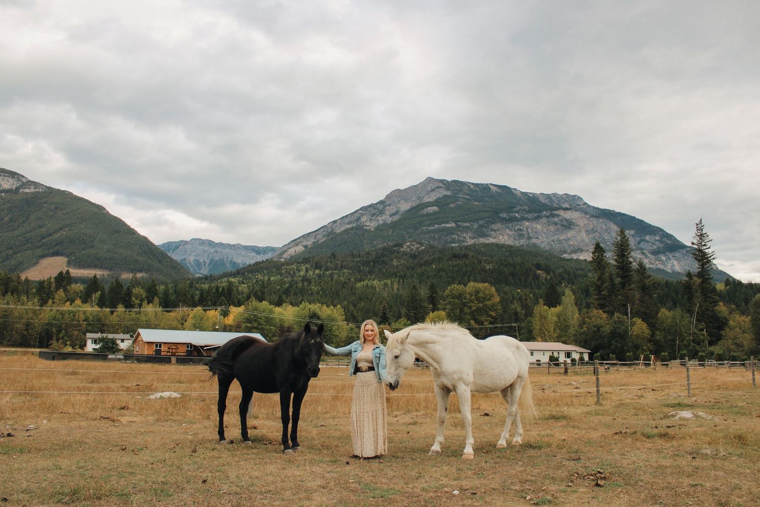 Panoramic view of horses grazing in mountain valley with dramatic peaks in background.