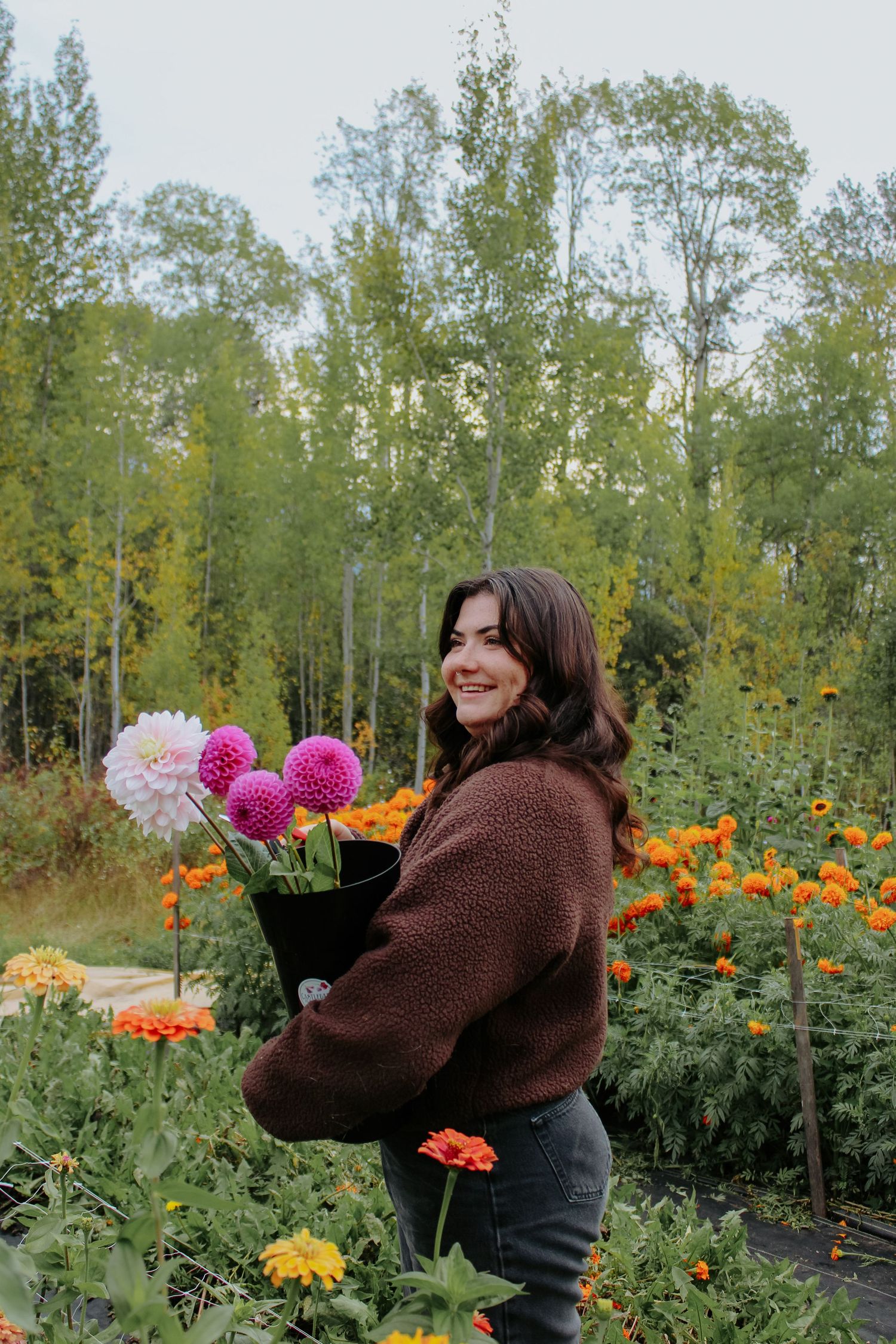 Garden scene with blooming dahlias and autumn flowers.