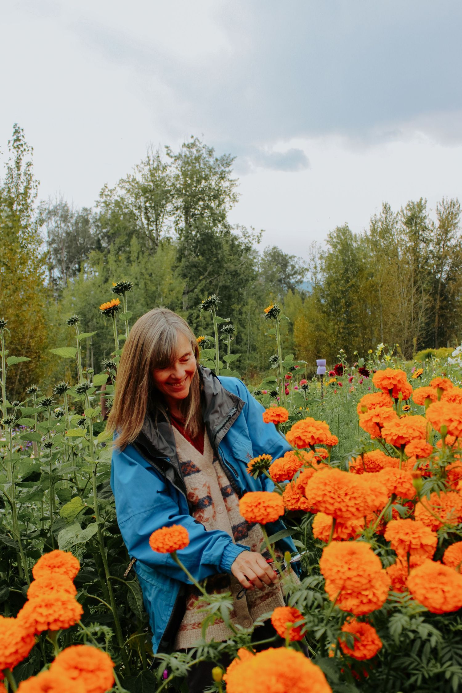 Woman in blue jacket smiling while picking vibrant orange marigold flowers in a lush garden with trees in background.