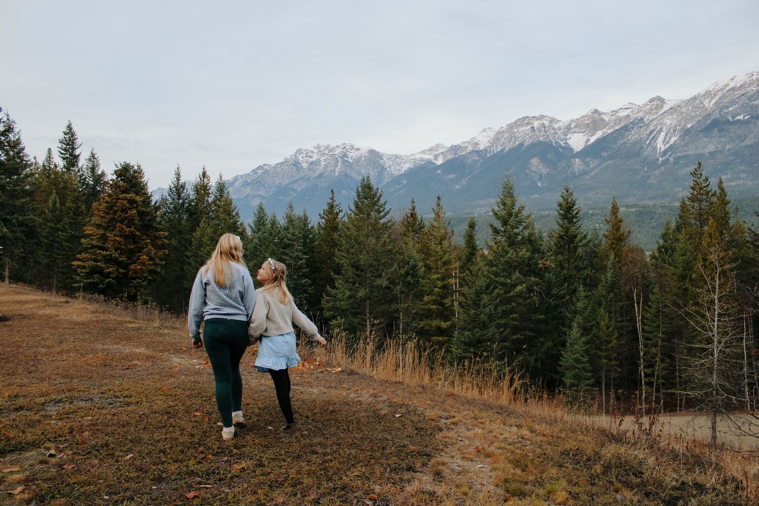 People walking through a mountain meadow with snow-capped peaks in the distance.