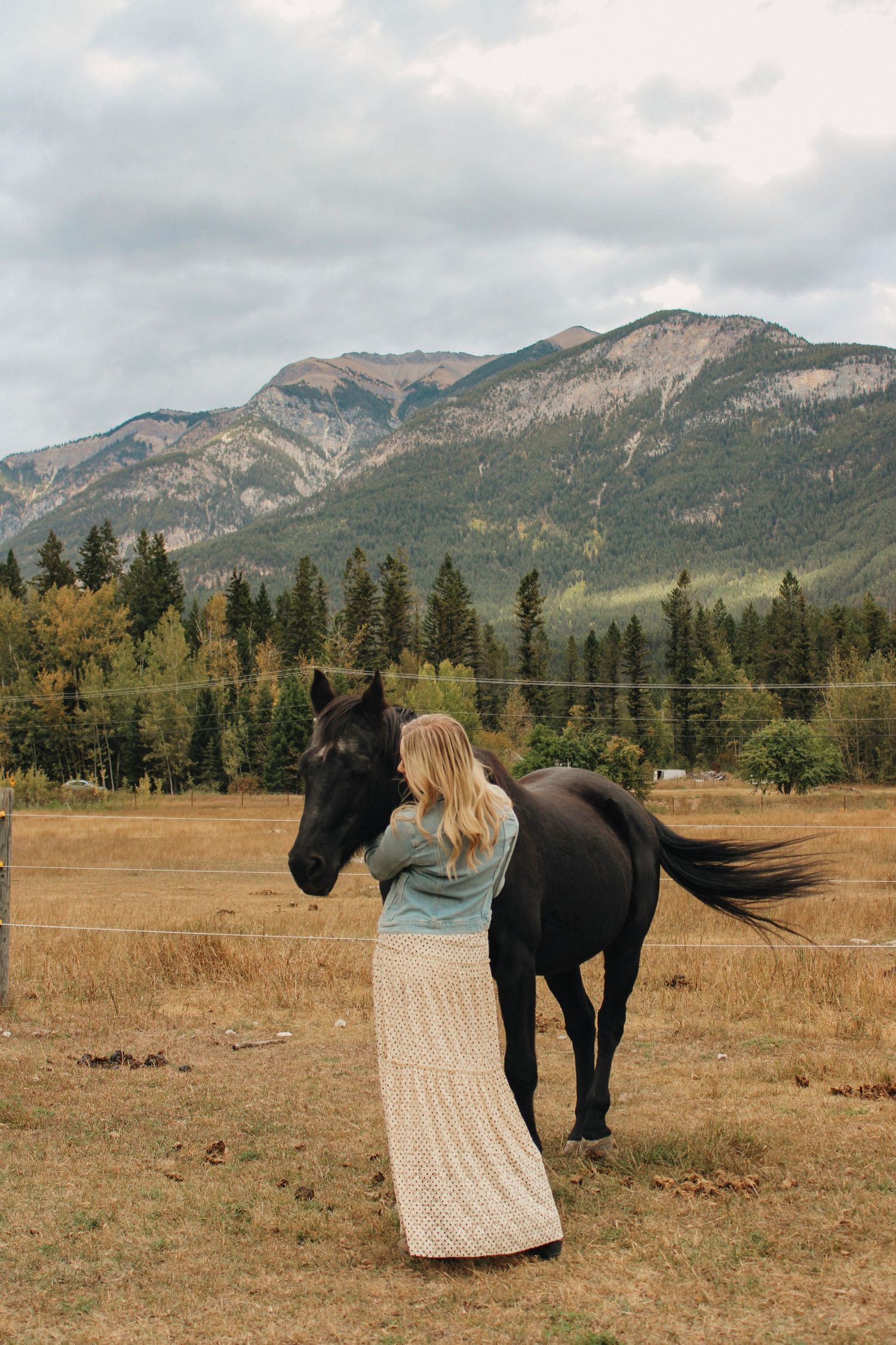 Black horse and person with blanket in mountain field during autumn.