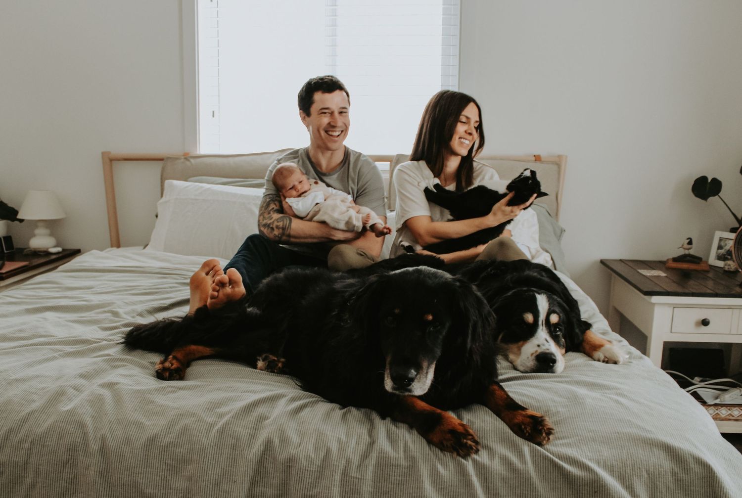 Cozy bedroom scene with dog lounging on gray bedding.