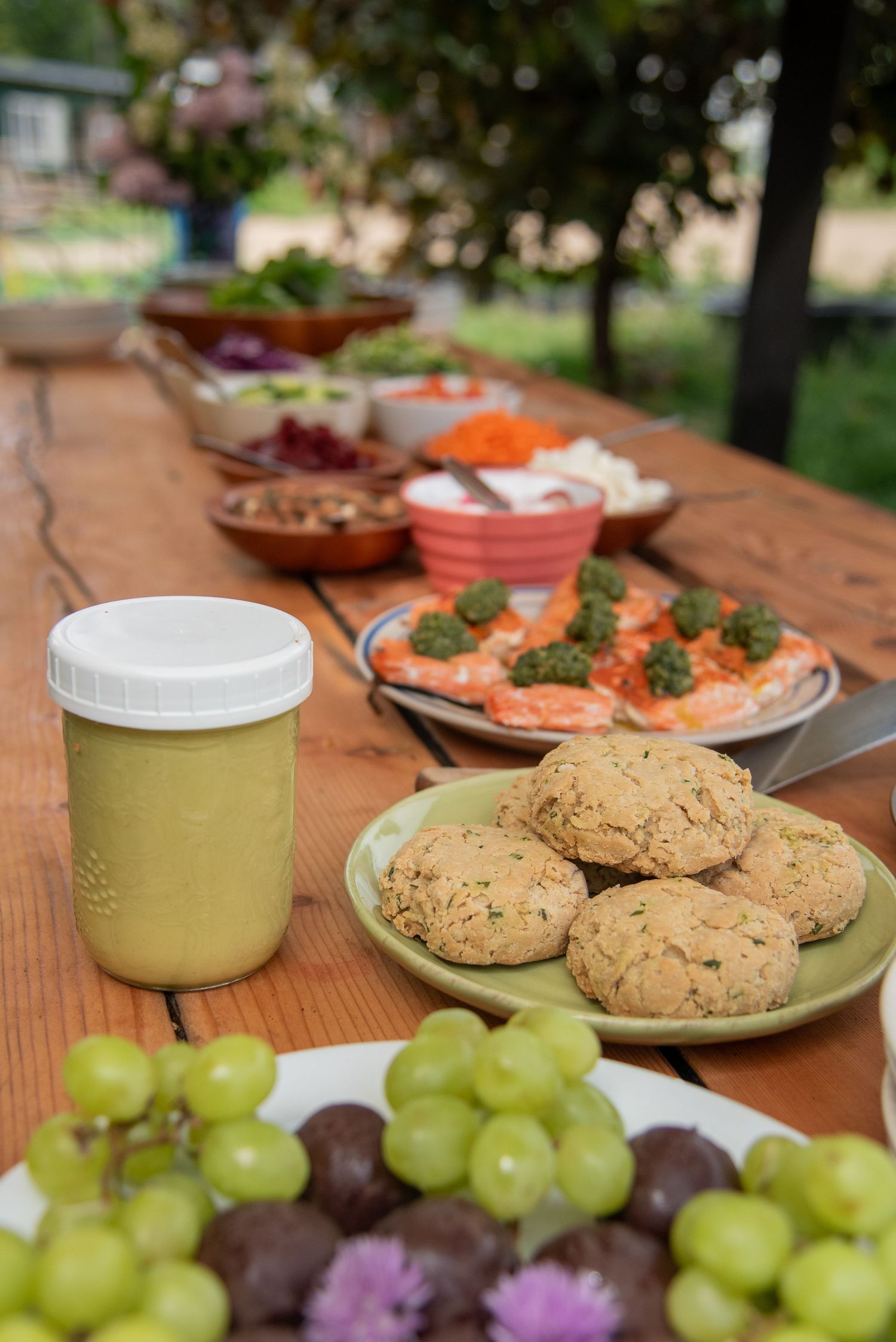 Outdoor wooden table spread with grapes, cookies, jar of sauce, salmon with pesto, and colorful salad bowls in a garden setting.