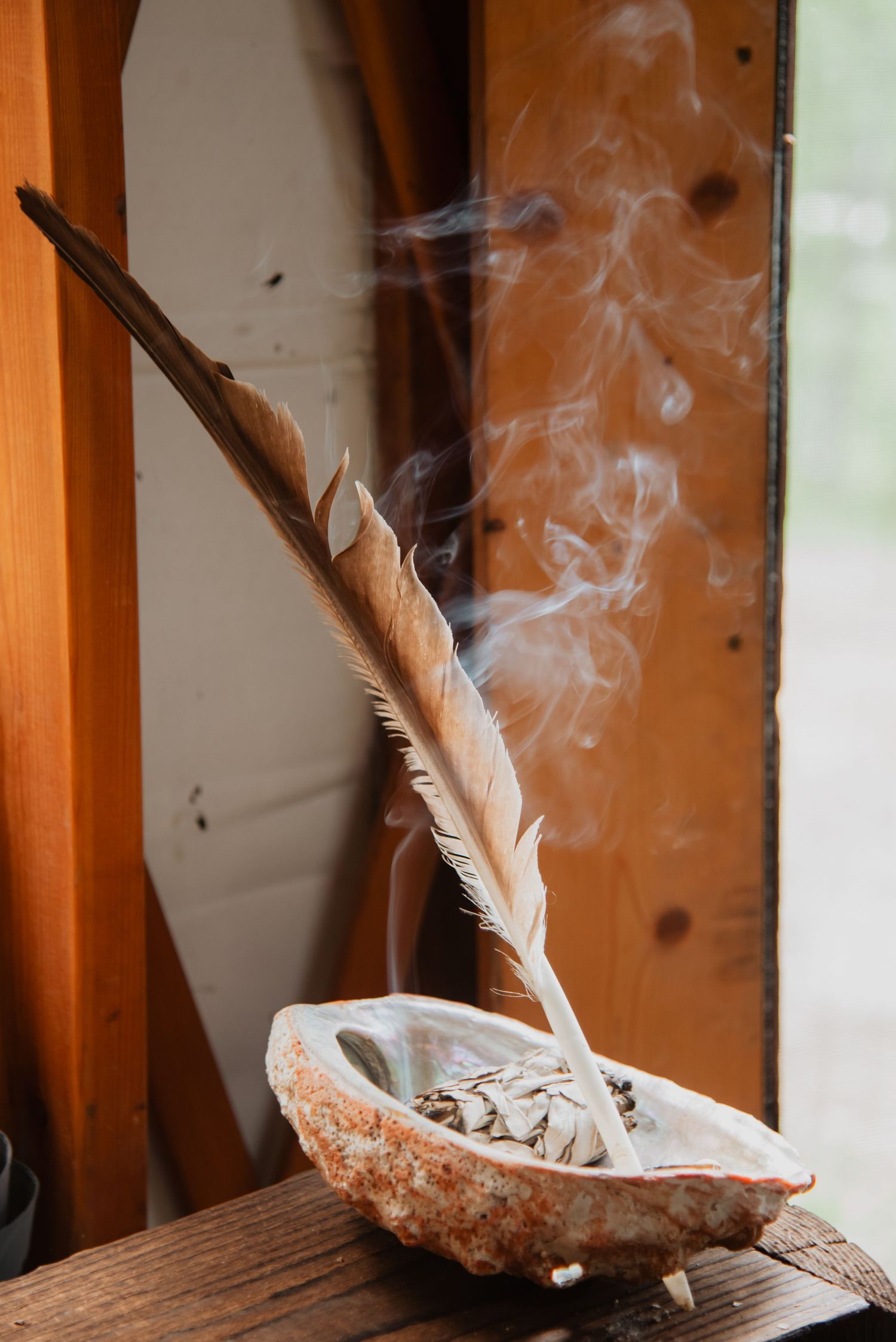 Smoking white sage bundle in an abalone shell with a feather for smudging ceremony on a wooden surface.