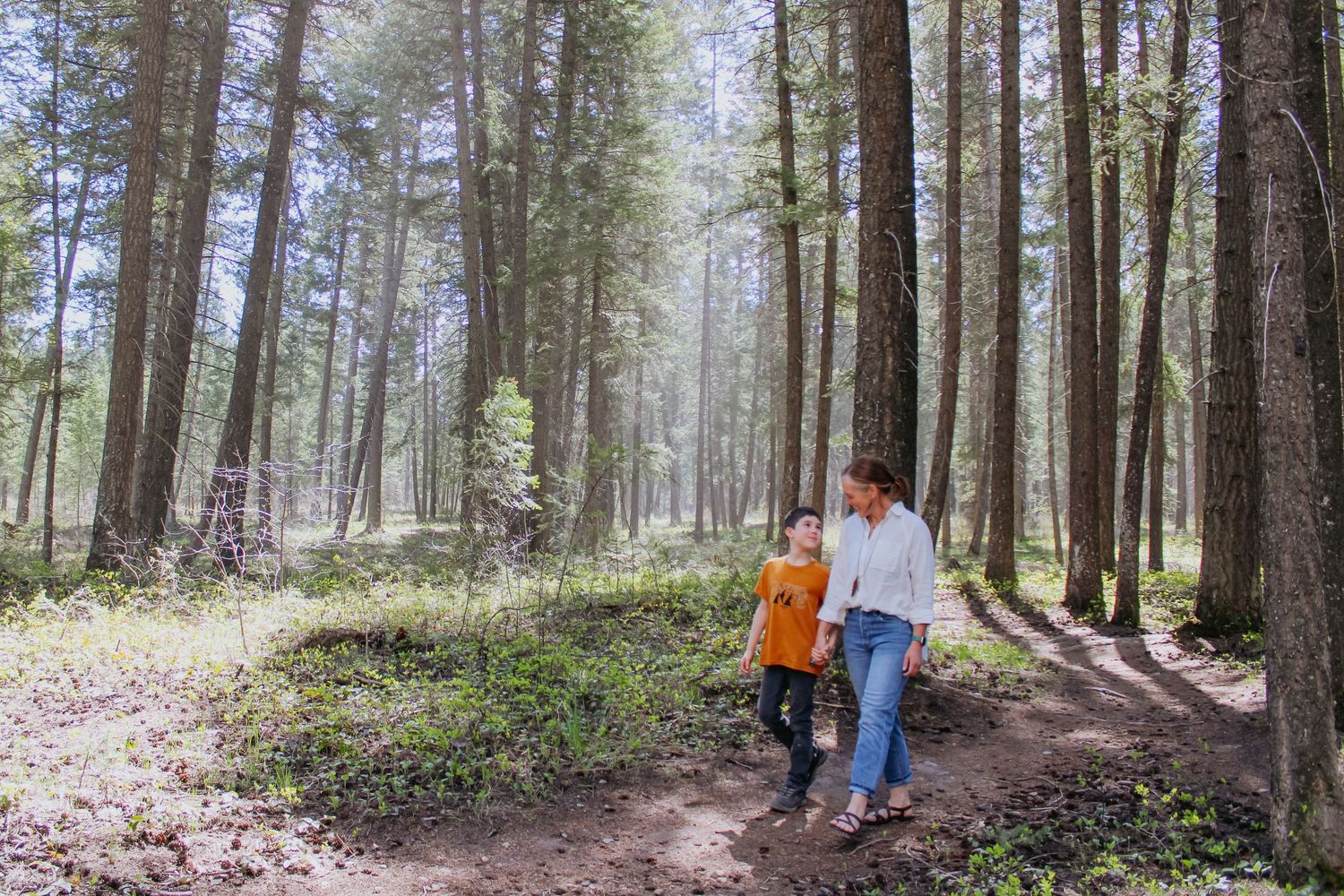 A woman and child walk along a sunlit forest trail surrounded by tall pine trees.