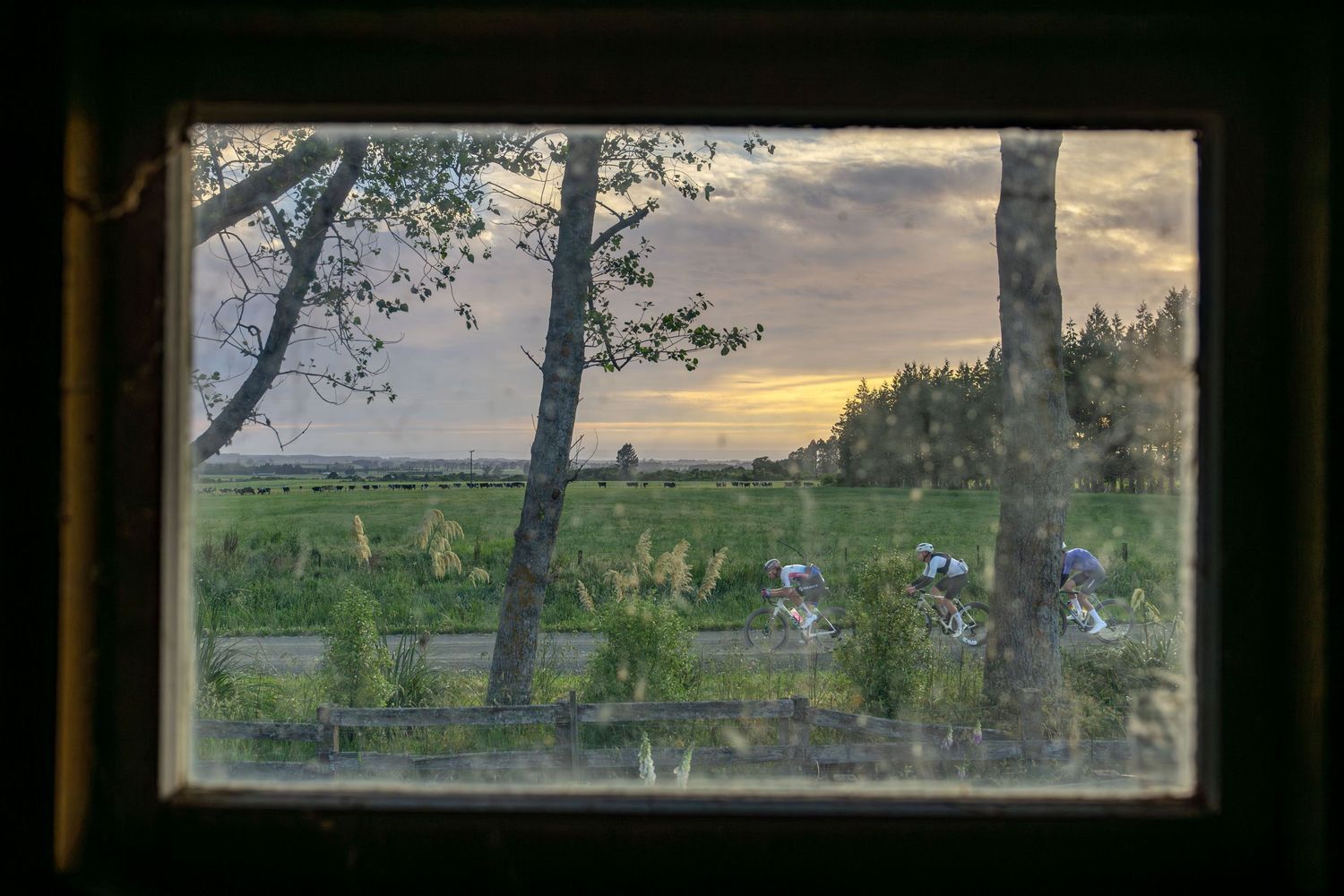 the lead bunch of cyclists heading past an old shearing shed. the photo is taken through the window.