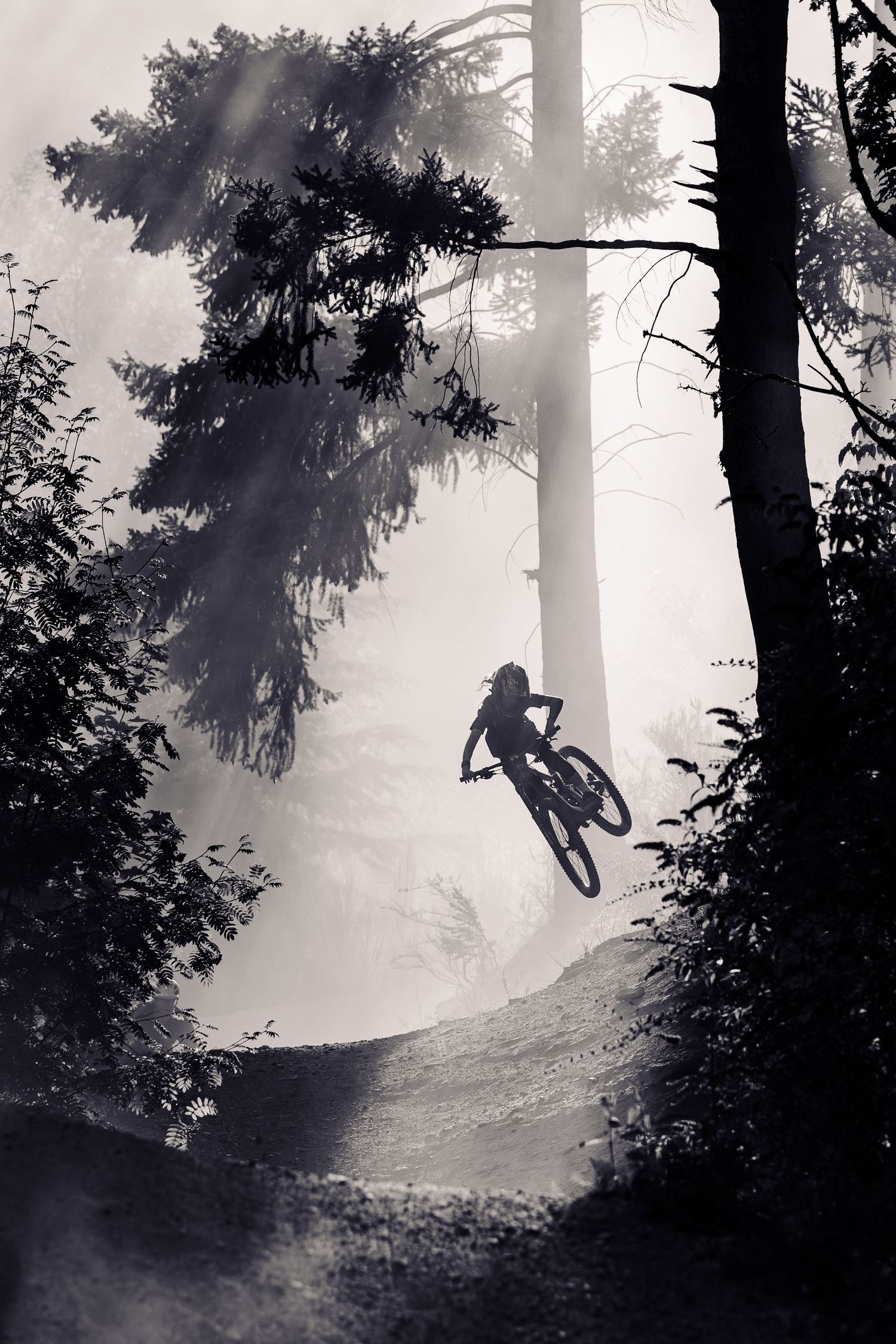 mountain biker enjoying the trails in Queenstown new Zealand.