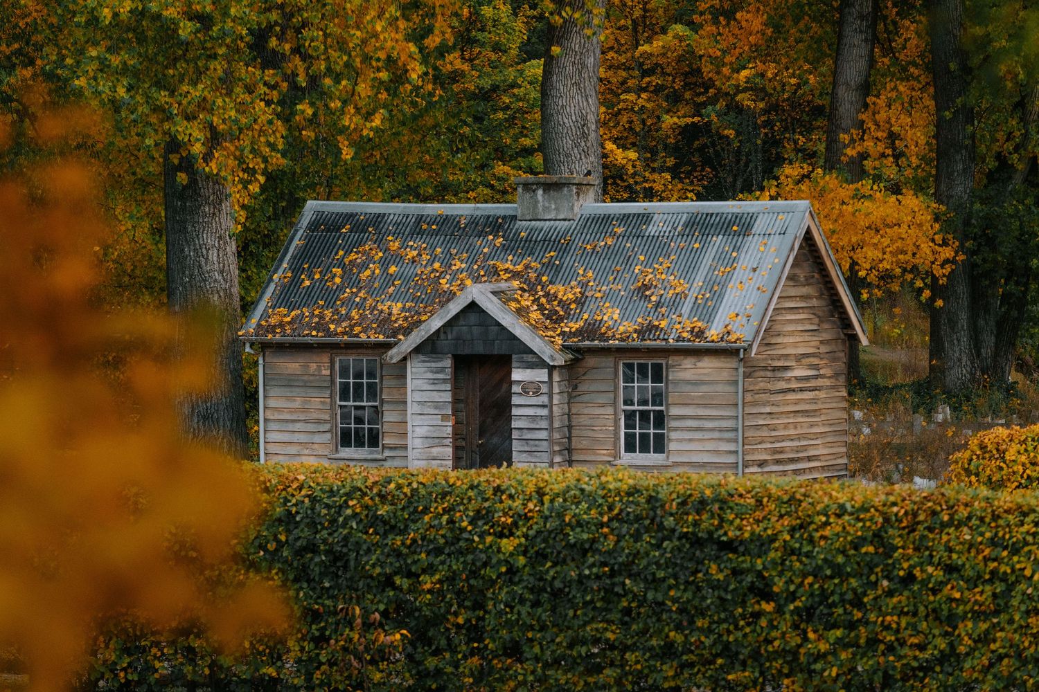 The Old police hut in Arrowtown, Queenstown. taken in autumn with the golden colours.