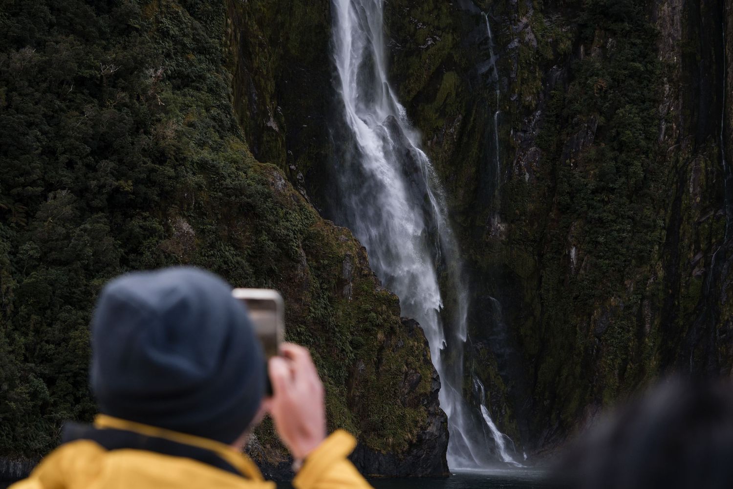guests enjoying a cruise on Milford Sound