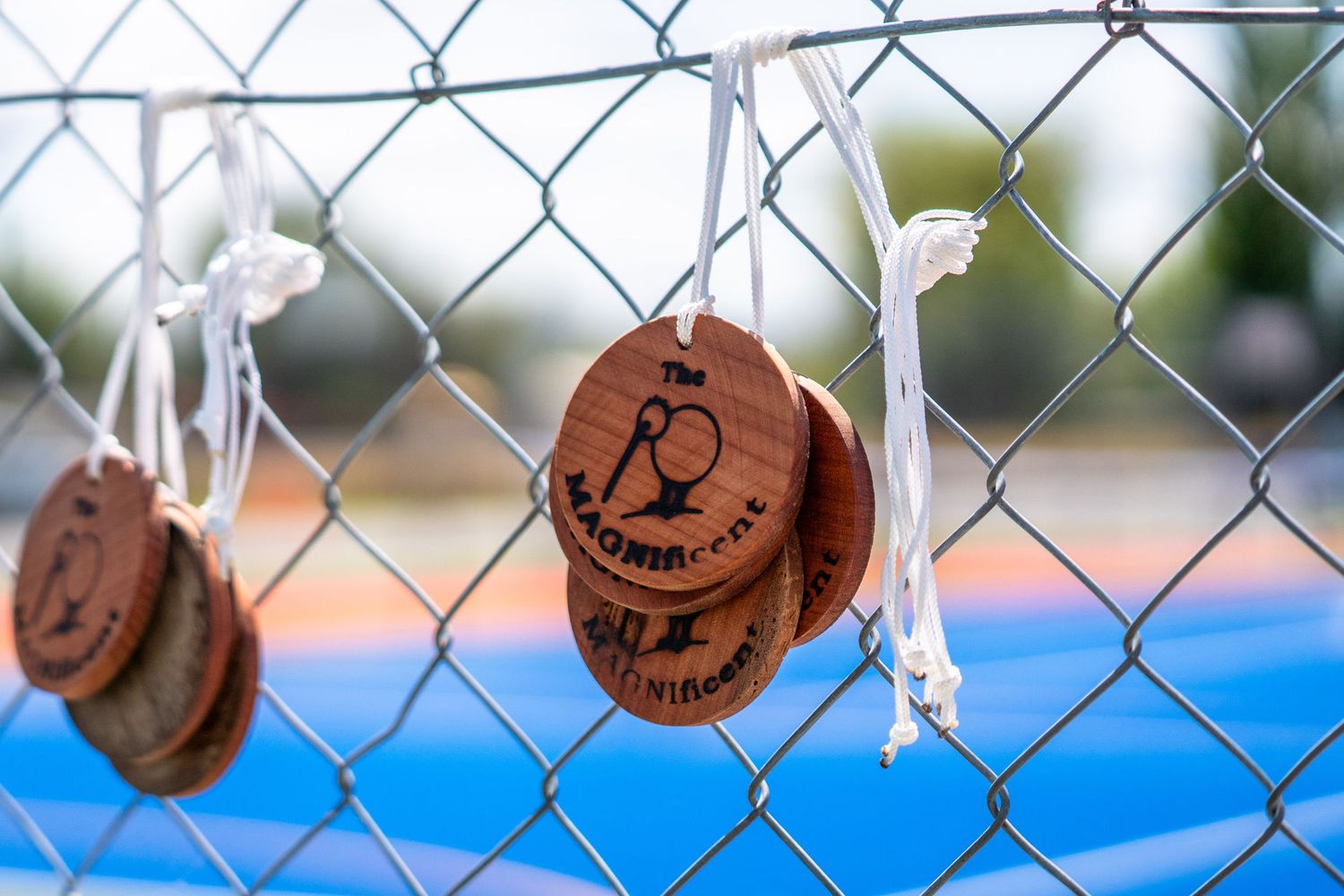 The Magnificent Adventure Race Medals hanging from the fence.