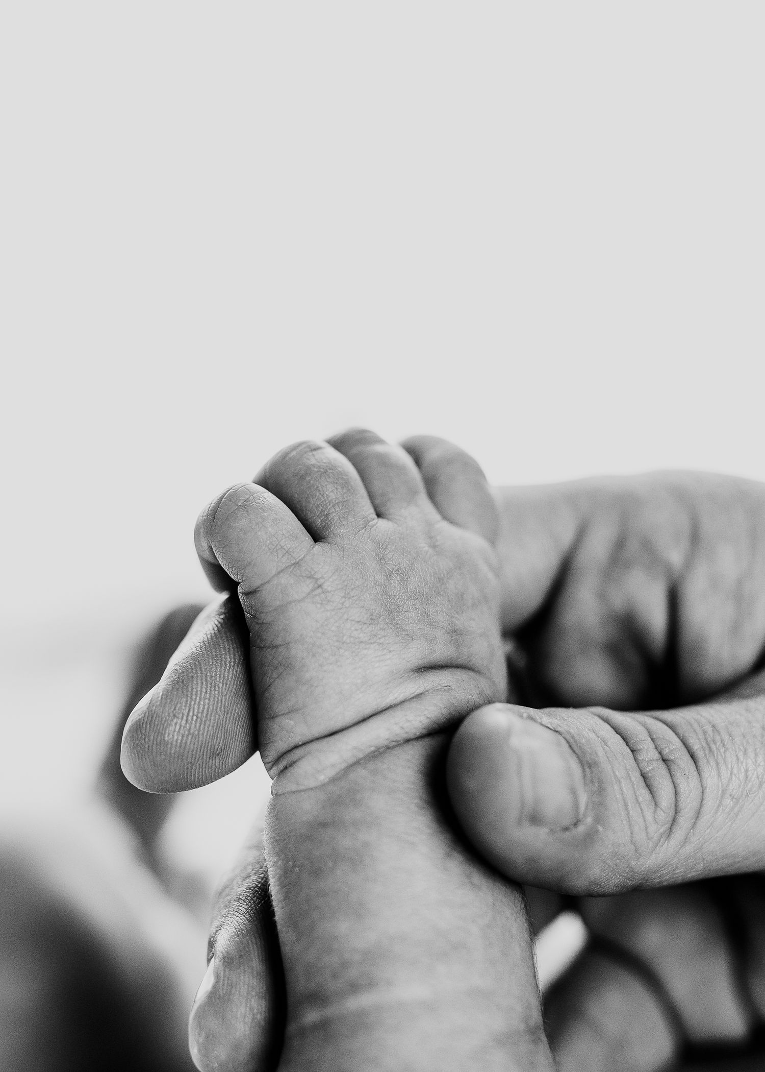 Black and white close-up of a newborn baby's tiny hand grasping an adult's finger.