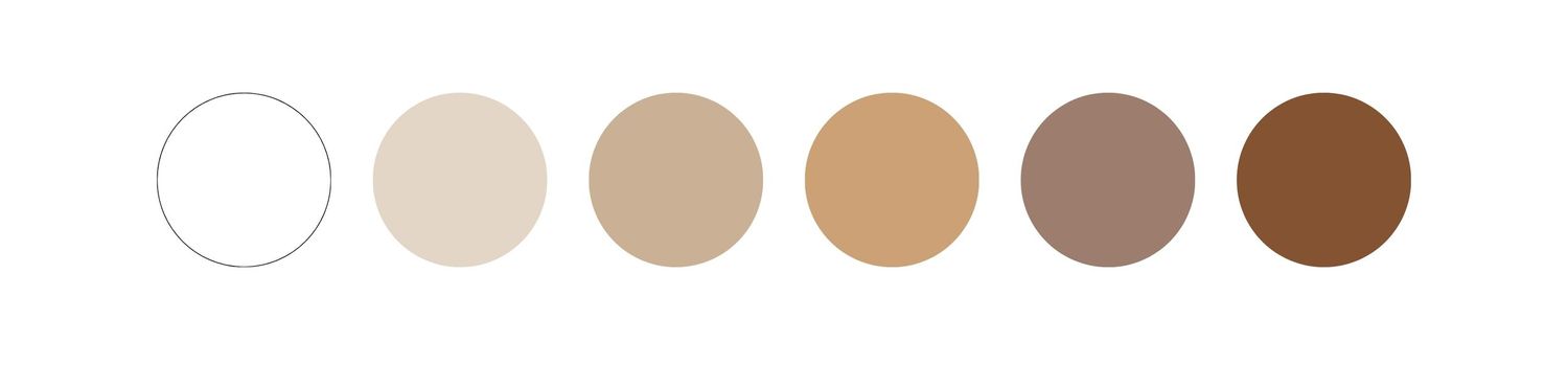 A palette of six skin tone swatches ranging from fair to deep brown on a white background.