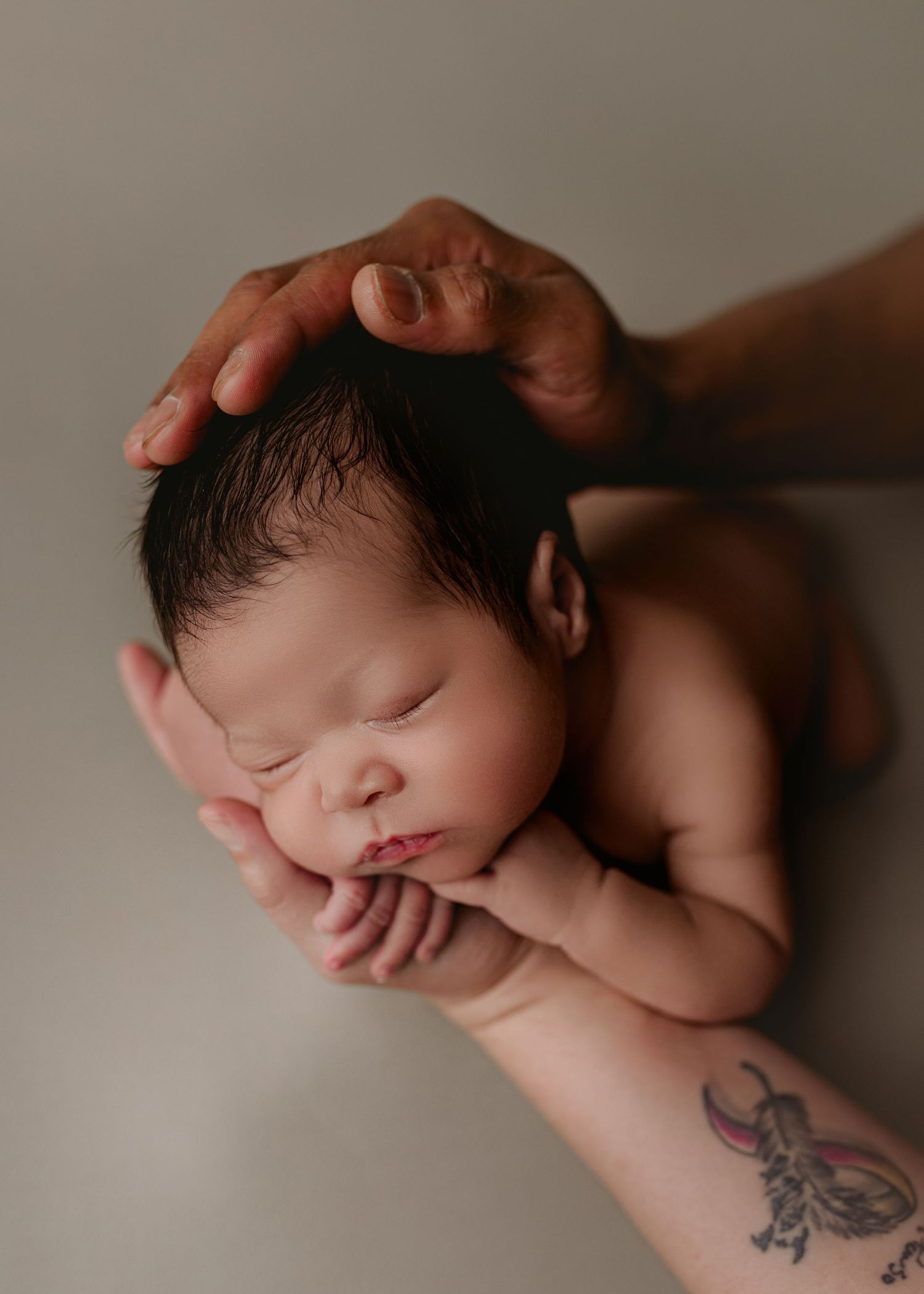 A sleeping newborn baby lies in a curled position on a neutral backdrop while hands gently support them.