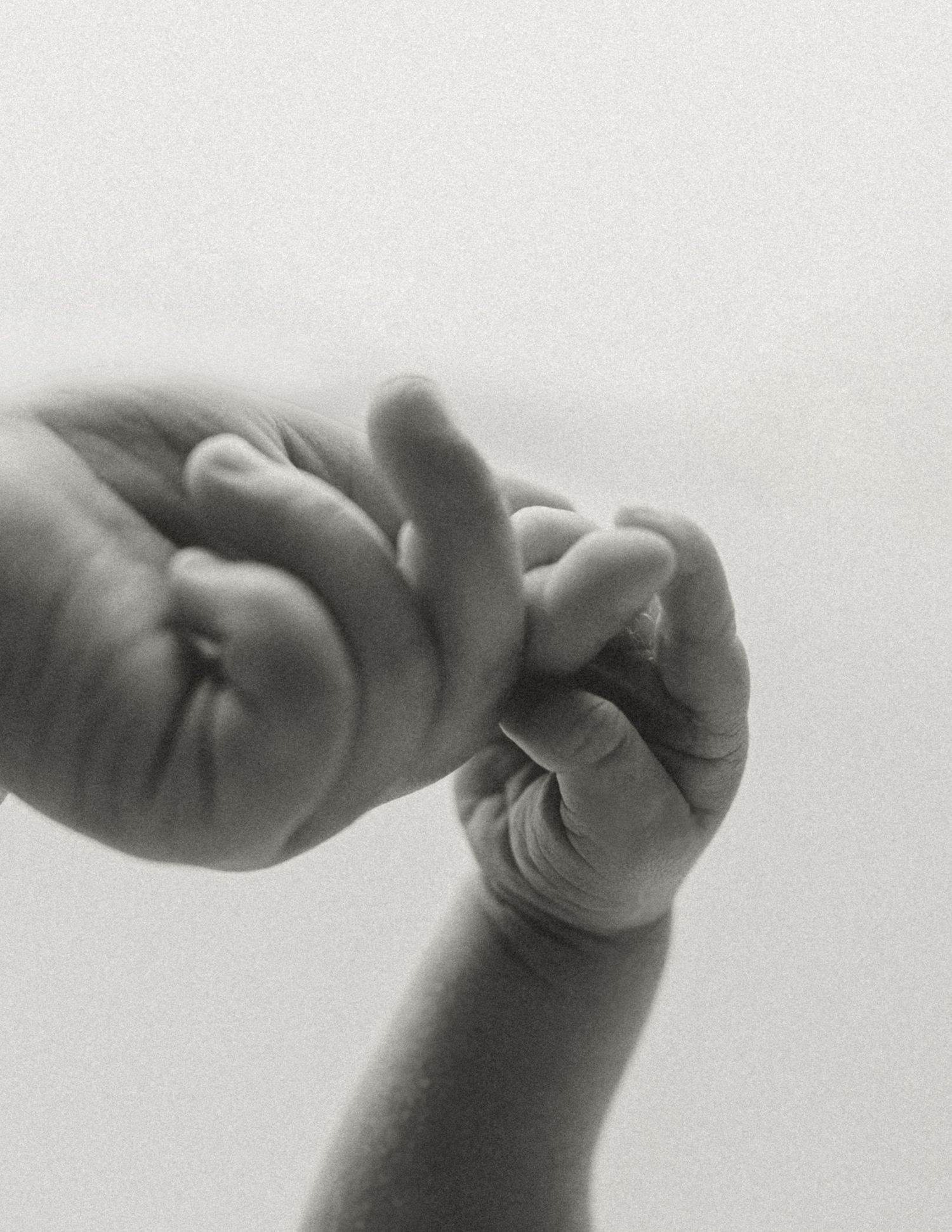 Black and white photo of a newborn baby's tiny hand grasping an adult's finger, symbolizing love and new life.