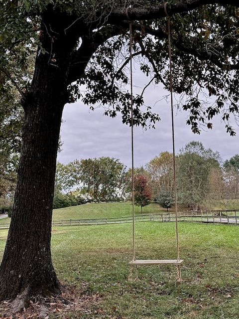 A rustic tree swing hangs from a large oak tree in a peaceful countryside meadow.