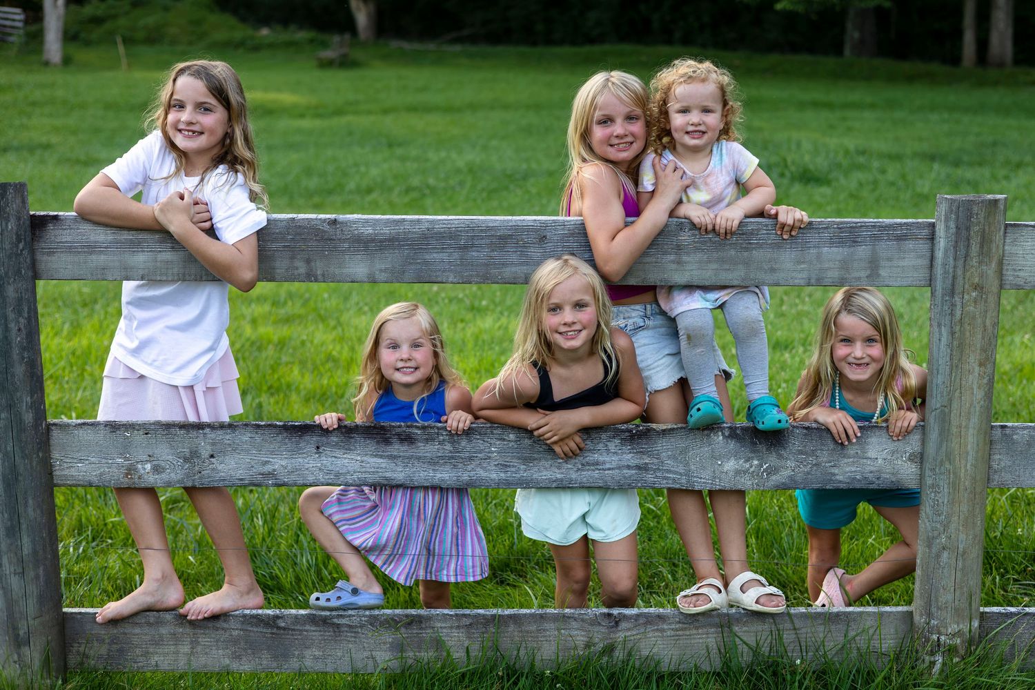 Seven young girls pose and smile together leaning on a wooden fence in a lush green grassy field.