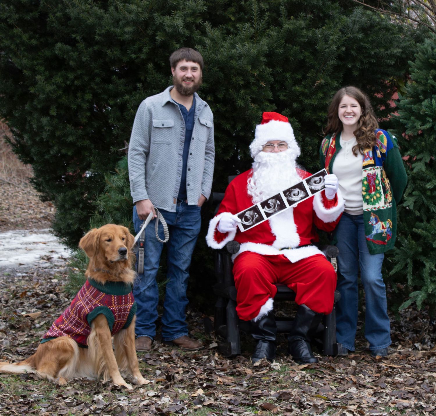 A series of outdoor holiday photos featuring a dog and Santa Claus.