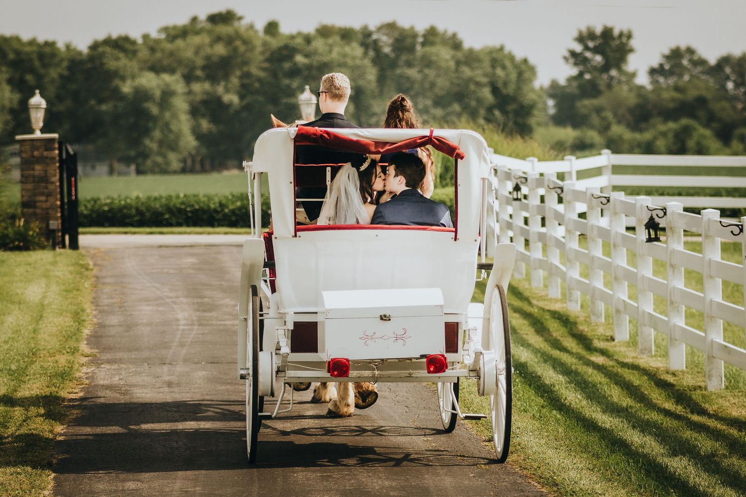 A white horse-drawn carriage travels along a scenic country road lined with white fences on a sunny summer day.