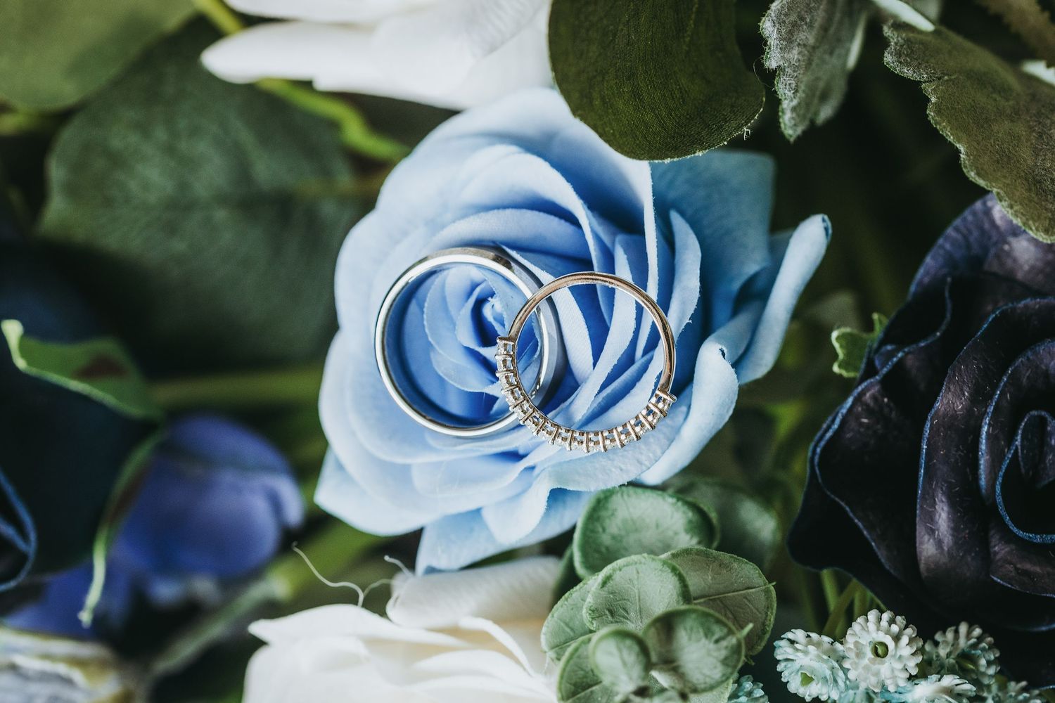 Wedding rings nestled among blue and white roses with green foliage.