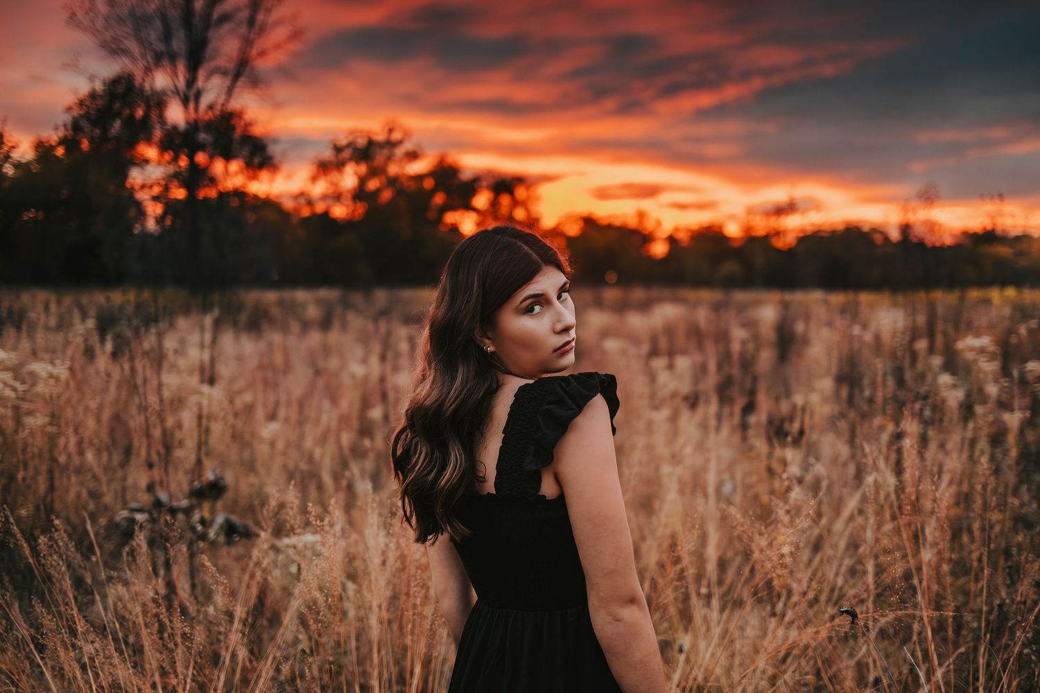 A silhouette stands in a golden field at sunset with dramatic orange and purple clouds in the sky.