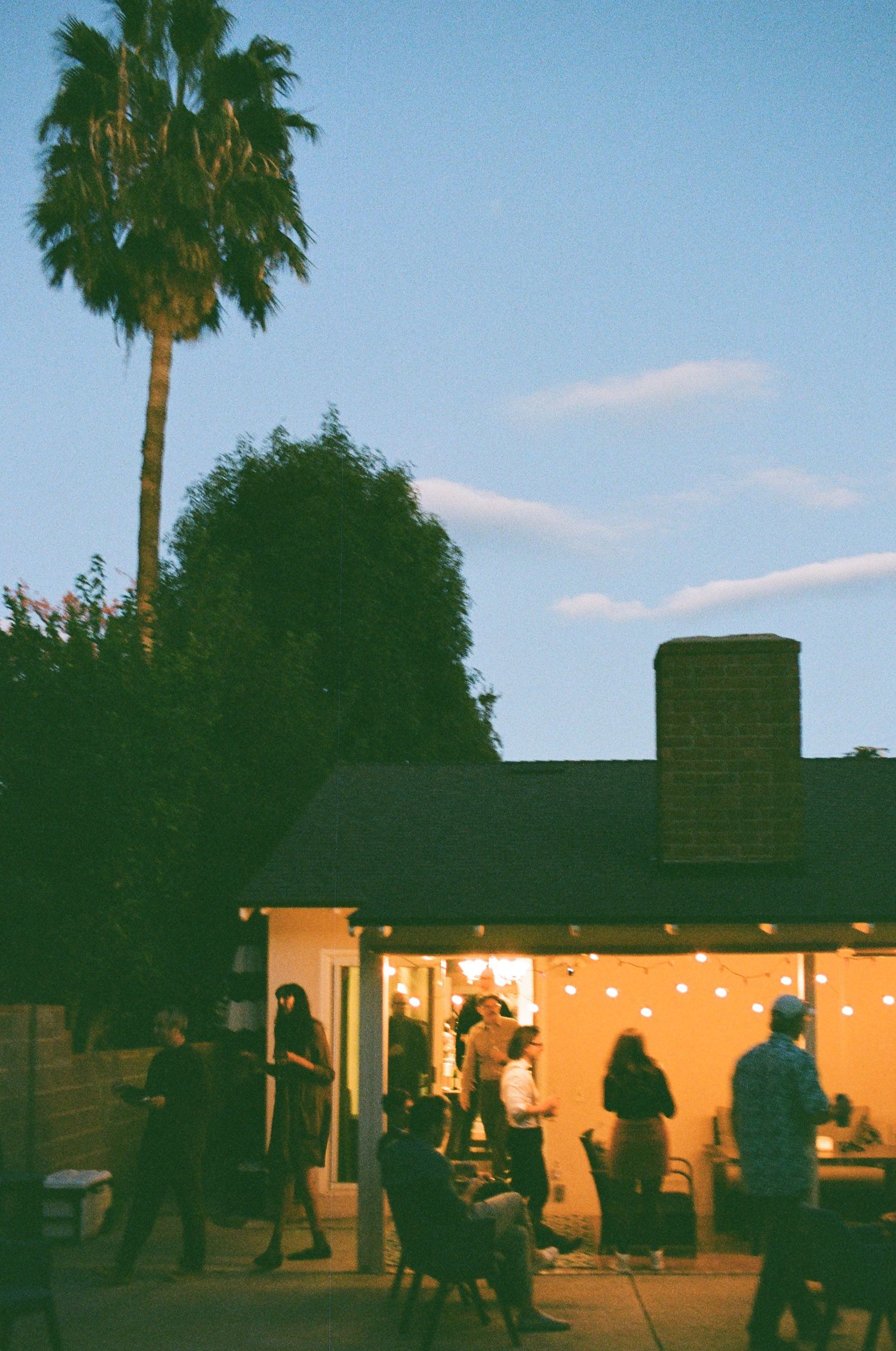 Silhouettes of people gathered outside building at dusk with palm trees overhead.