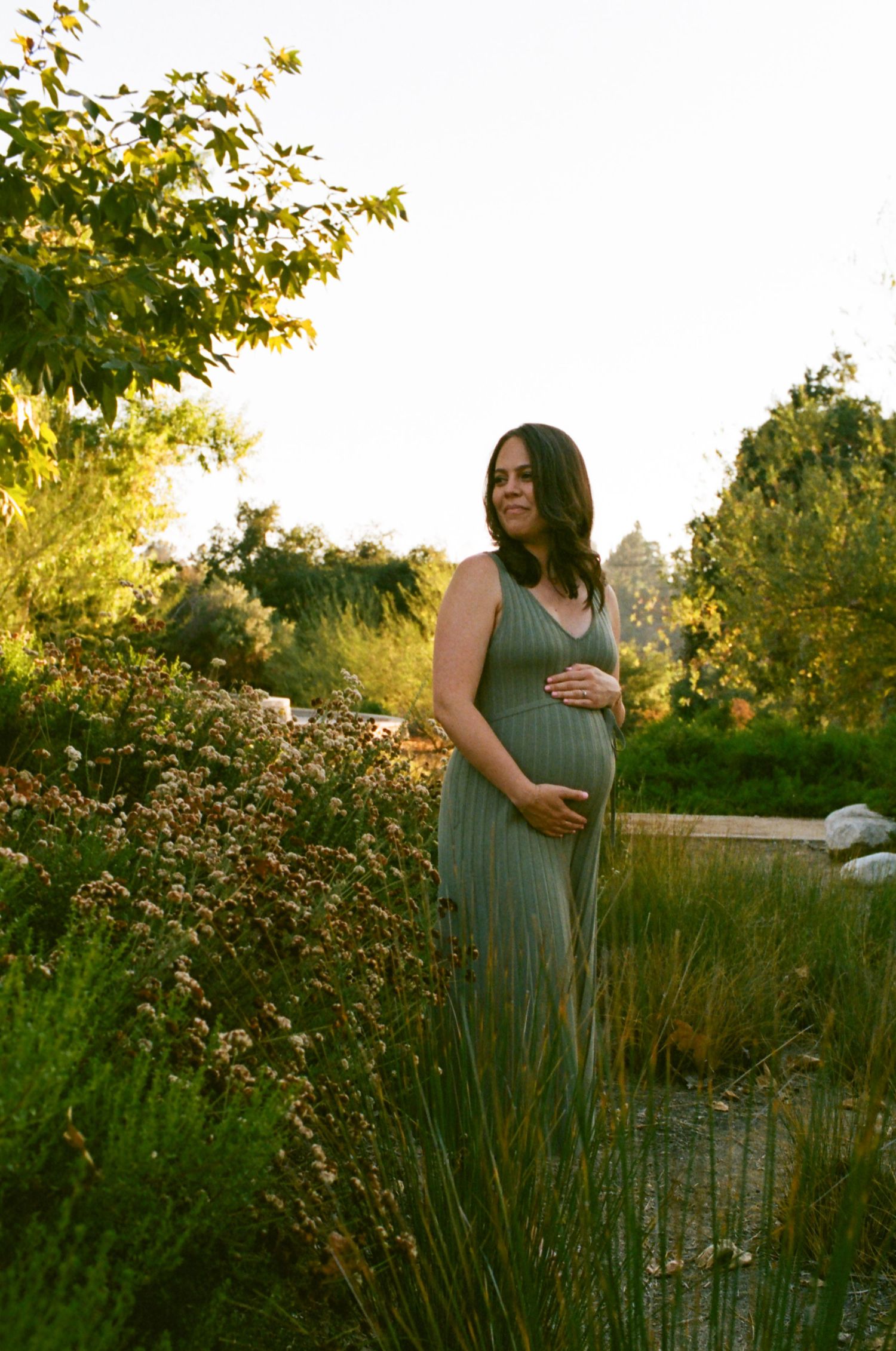 Maternity portrait session in a garden with golden hour sunlight and tall grasses.