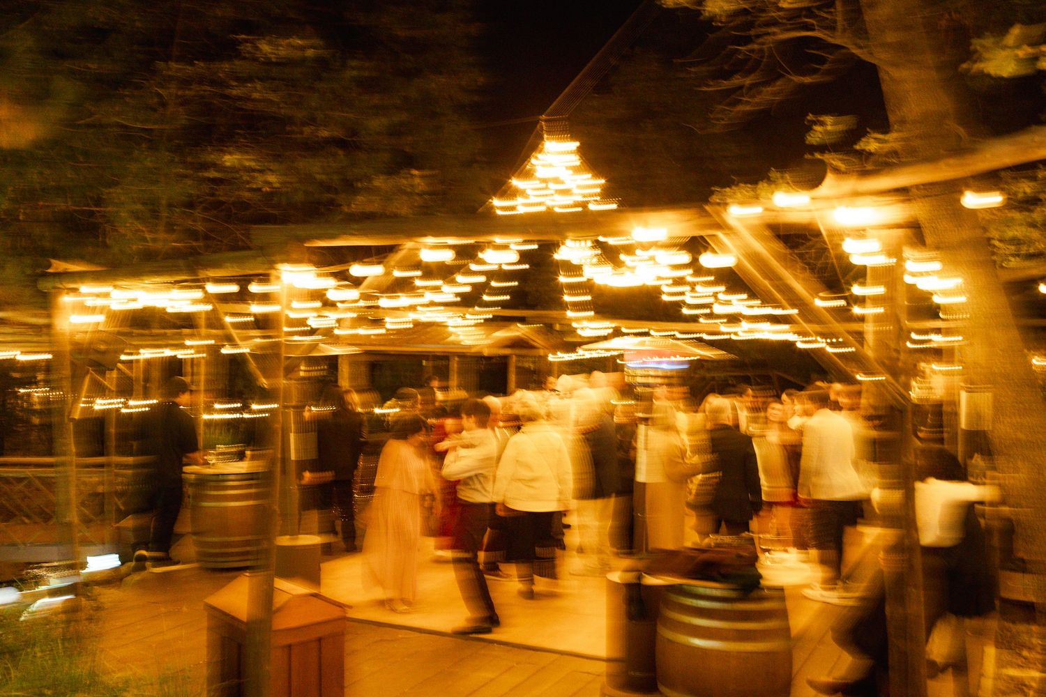 Blurry wedding photograph
