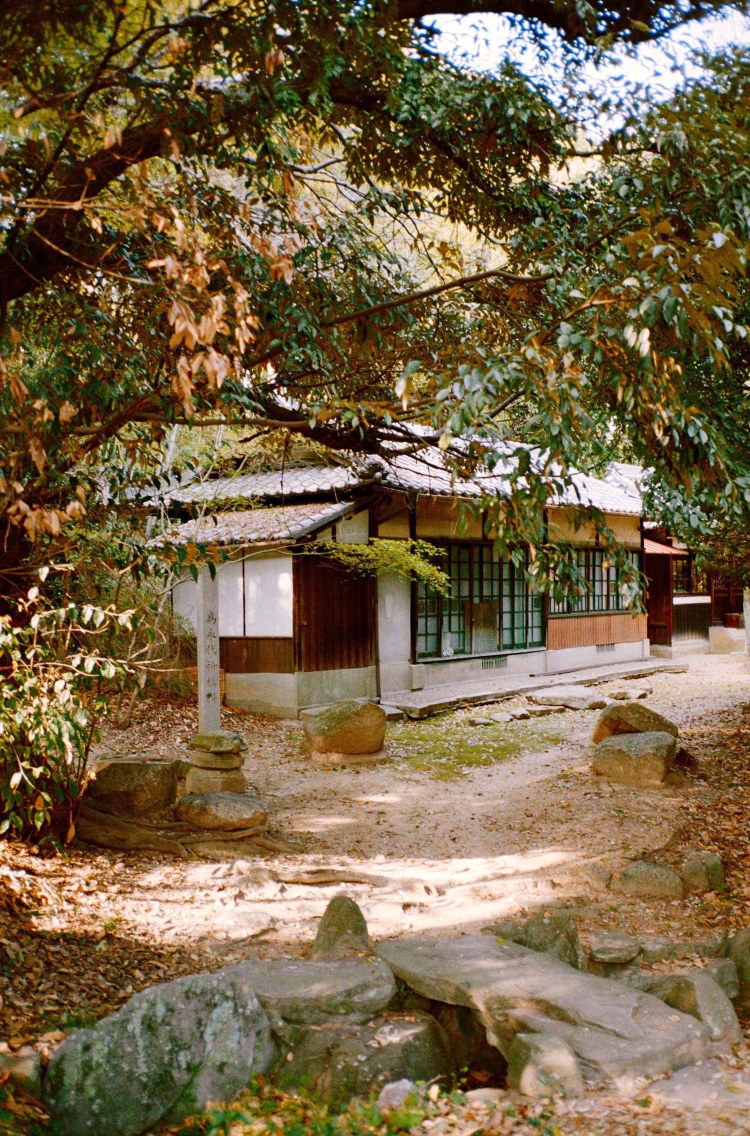 Traditional Japanese buildings with stone paths under shaded tree canopy.