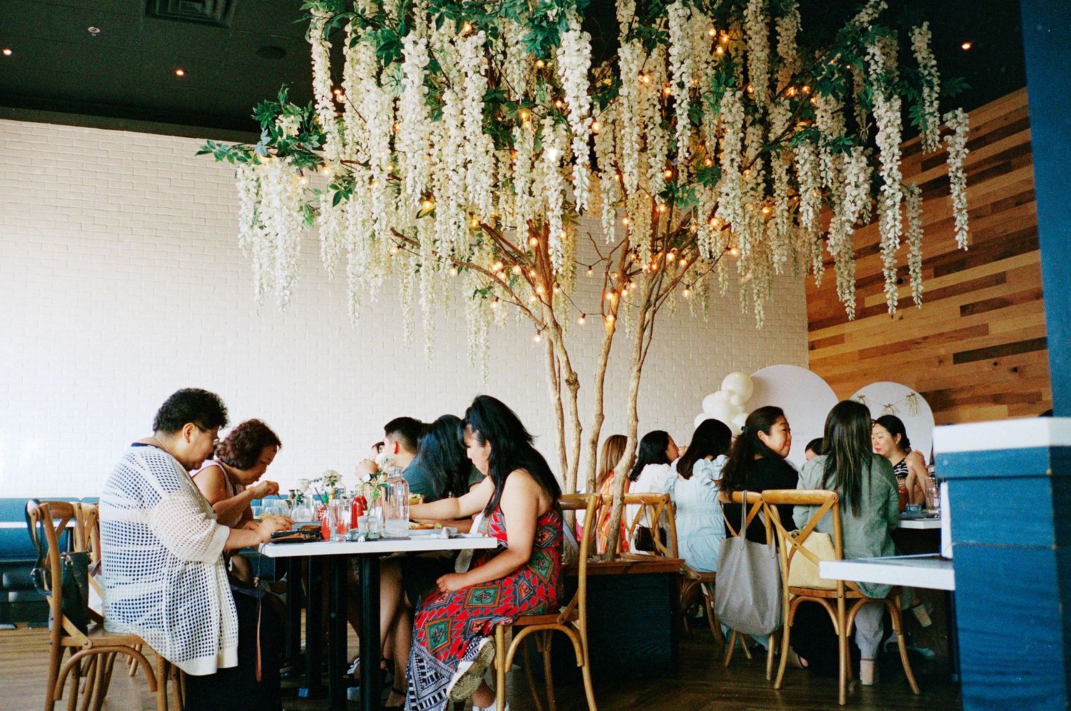 Wedding reception interior decorated with elegant hanging floral arrangements and greenery.