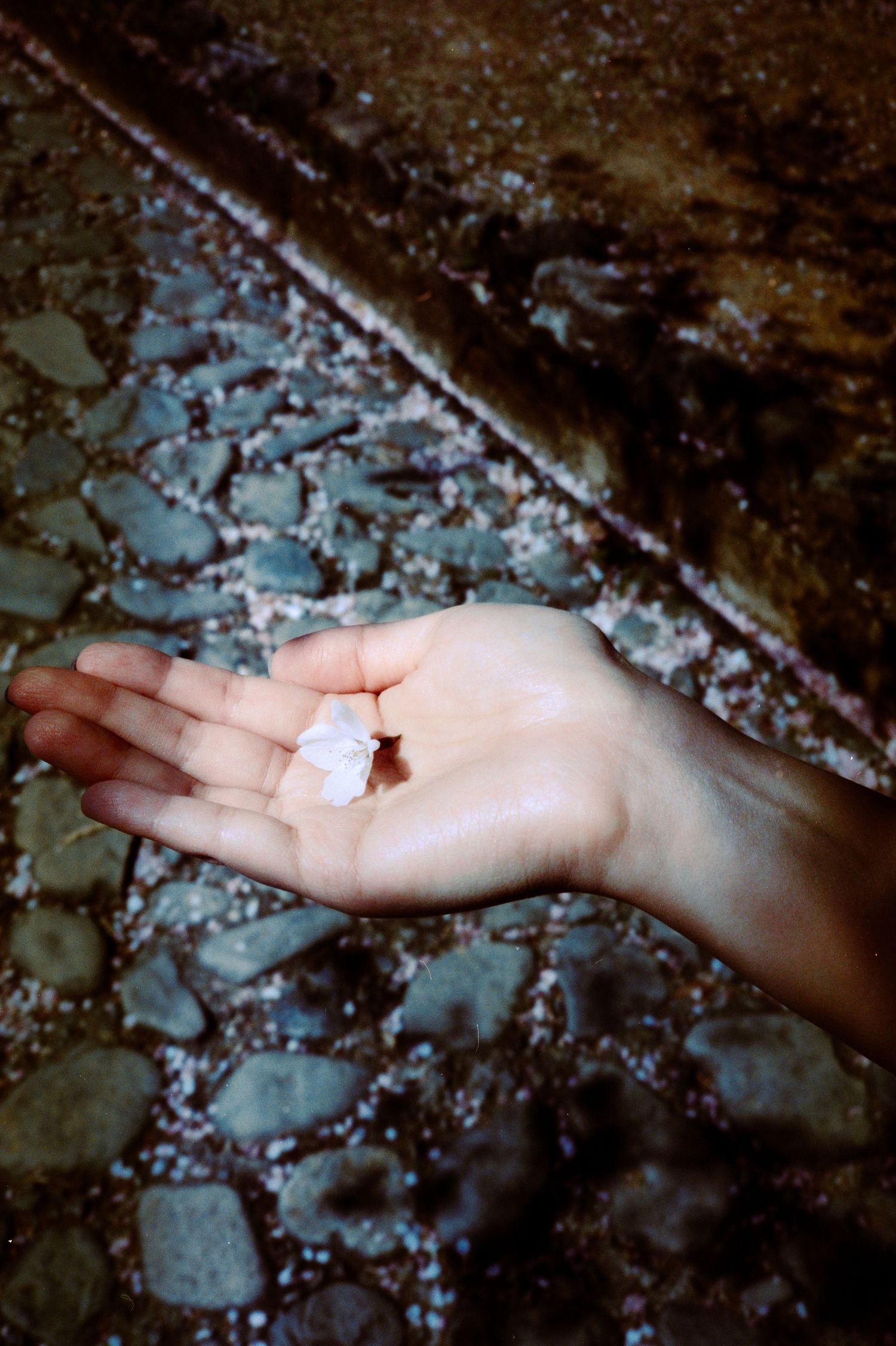 A hand holding a small white object against a textured stone surface.