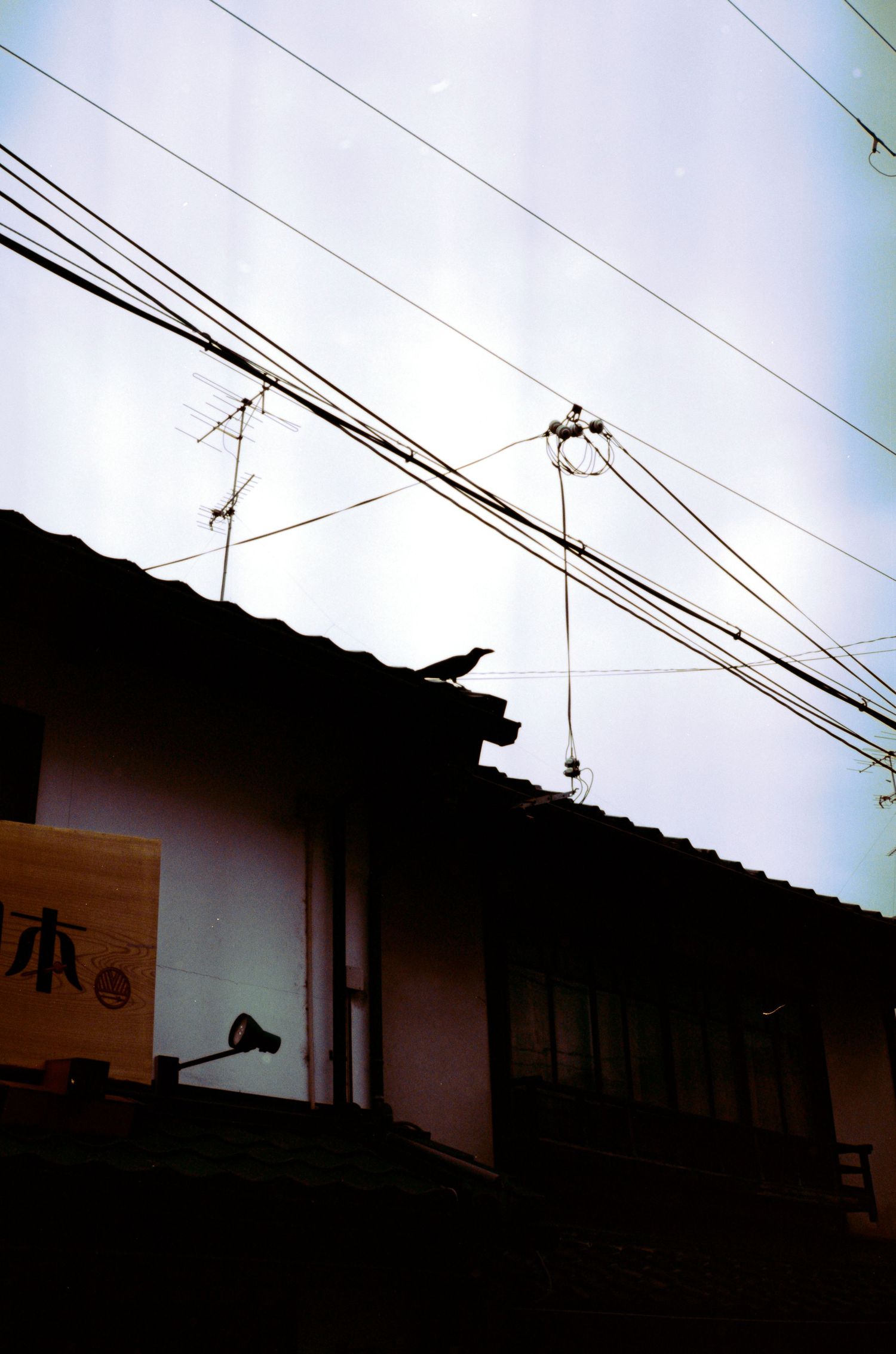 Silhouette of power lines and a bird against a bright sky over Japanese rooftops.
