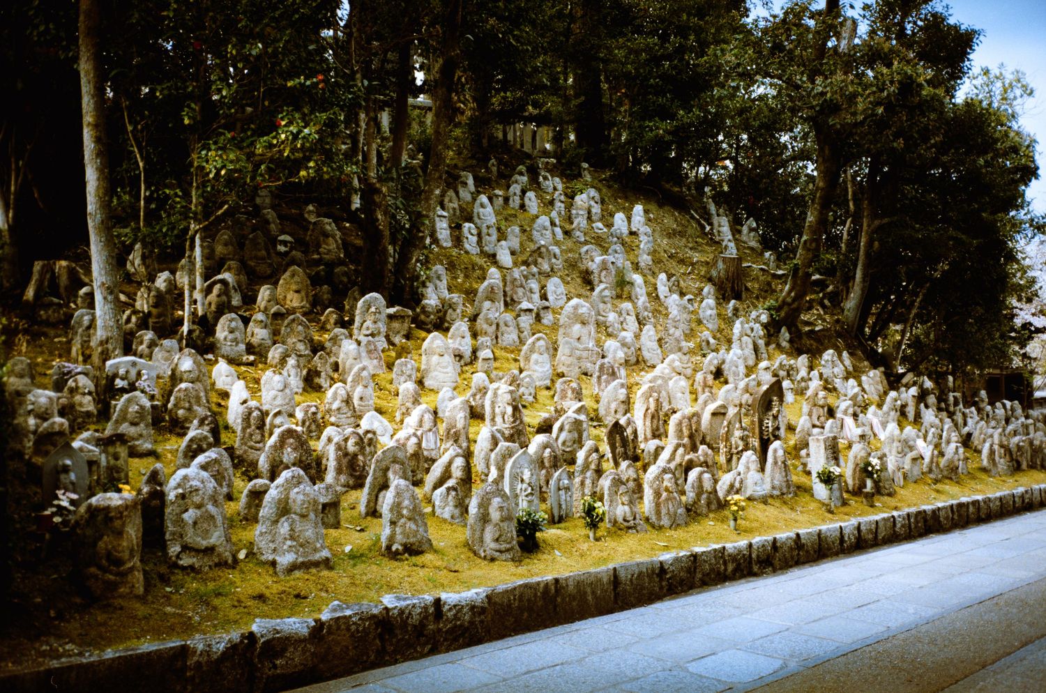 Rows of small stone statues line a path in what appears to be a Japanese temple or shrine.