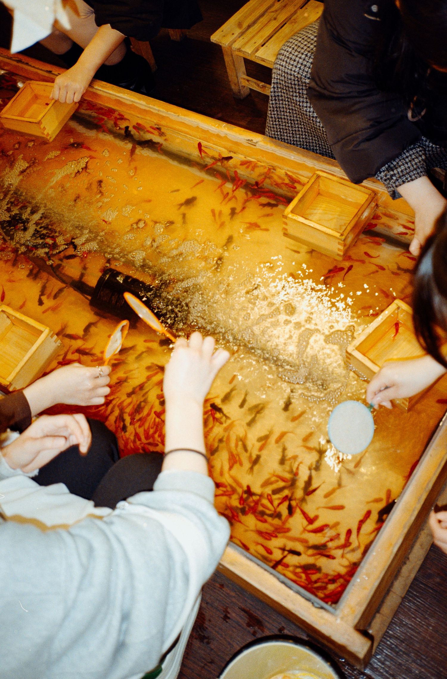 People playing a traditional Japanese fish-scooping game at a festival or event.