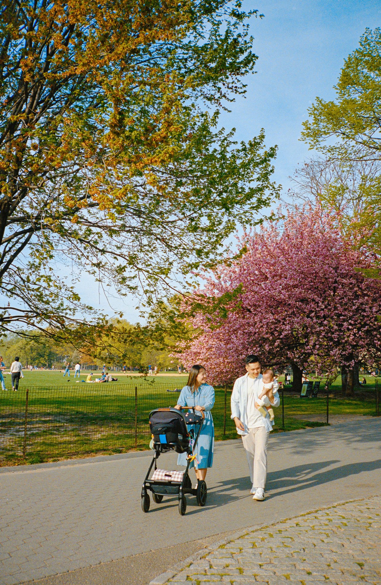 People walking with a stroller along a park path surrounded by colorful spring trees, captured on film