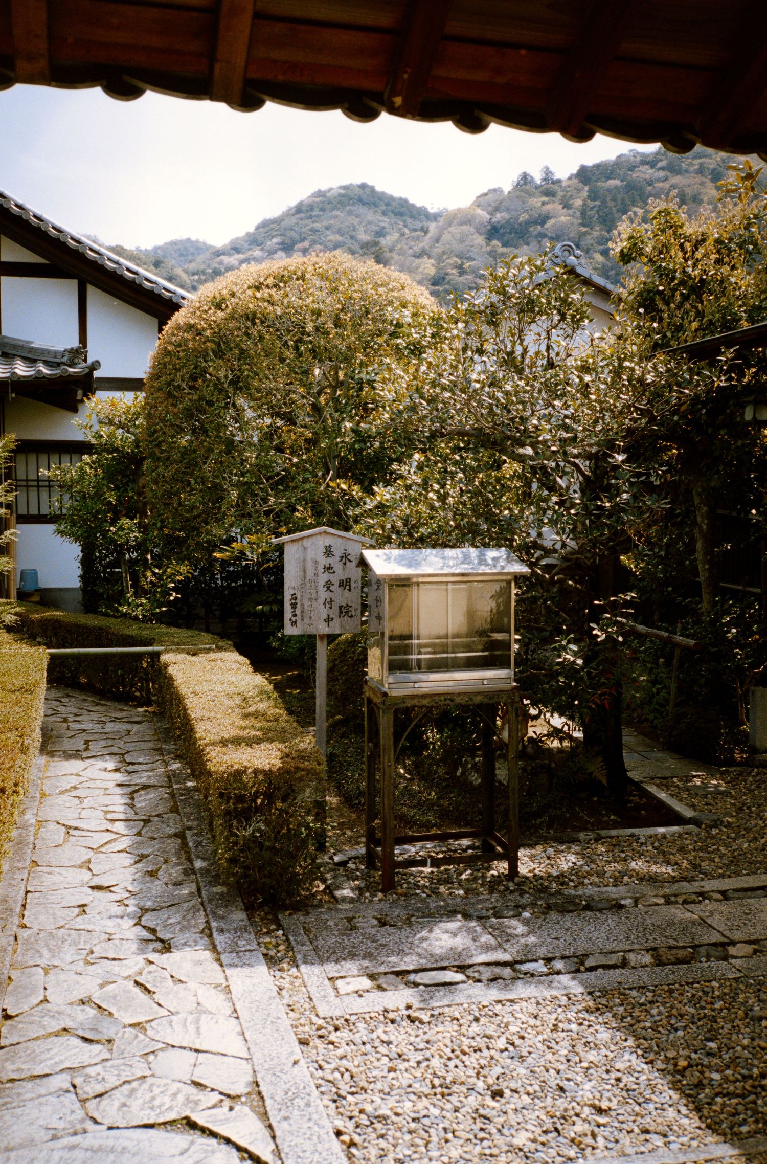 Traditional Japanese garden path with stone lantern and mountain backdrop.