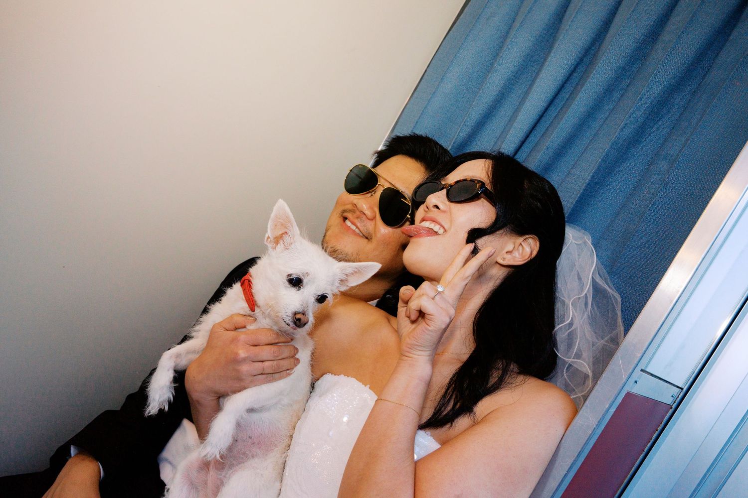 Series showing playful moments with a small white dog indoors.