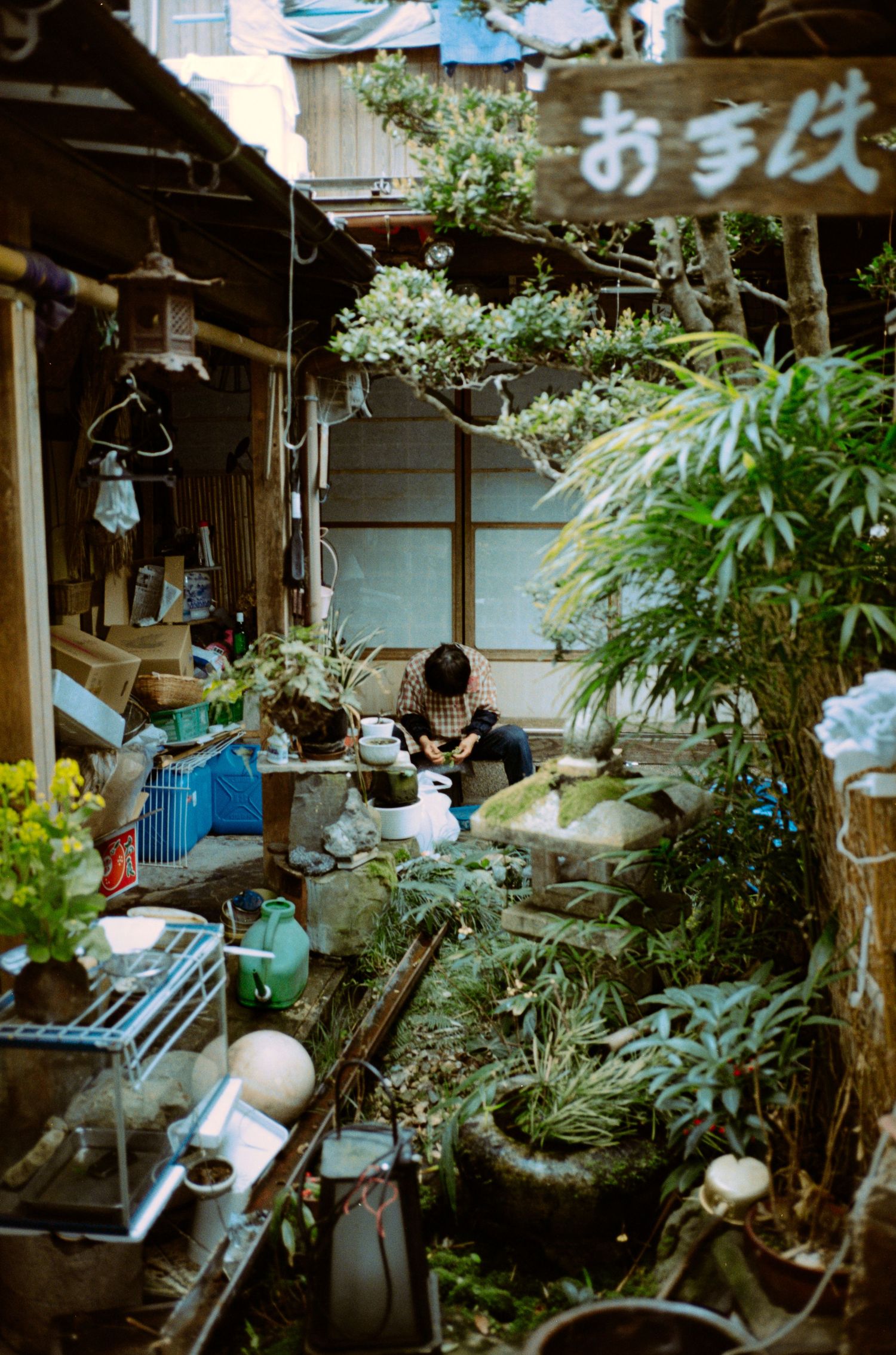 A cluttered Japanese garden with potted plants, bamboo, and traditional architecture elements.