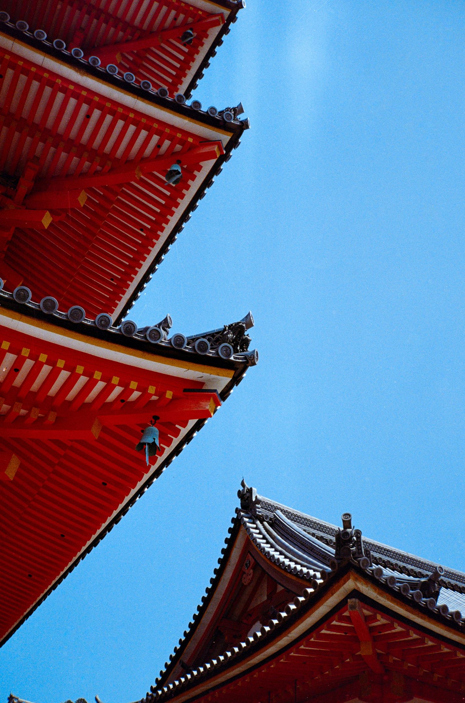 Red temple rooflines against bright blue sky showing traditional Japanese architectural details.