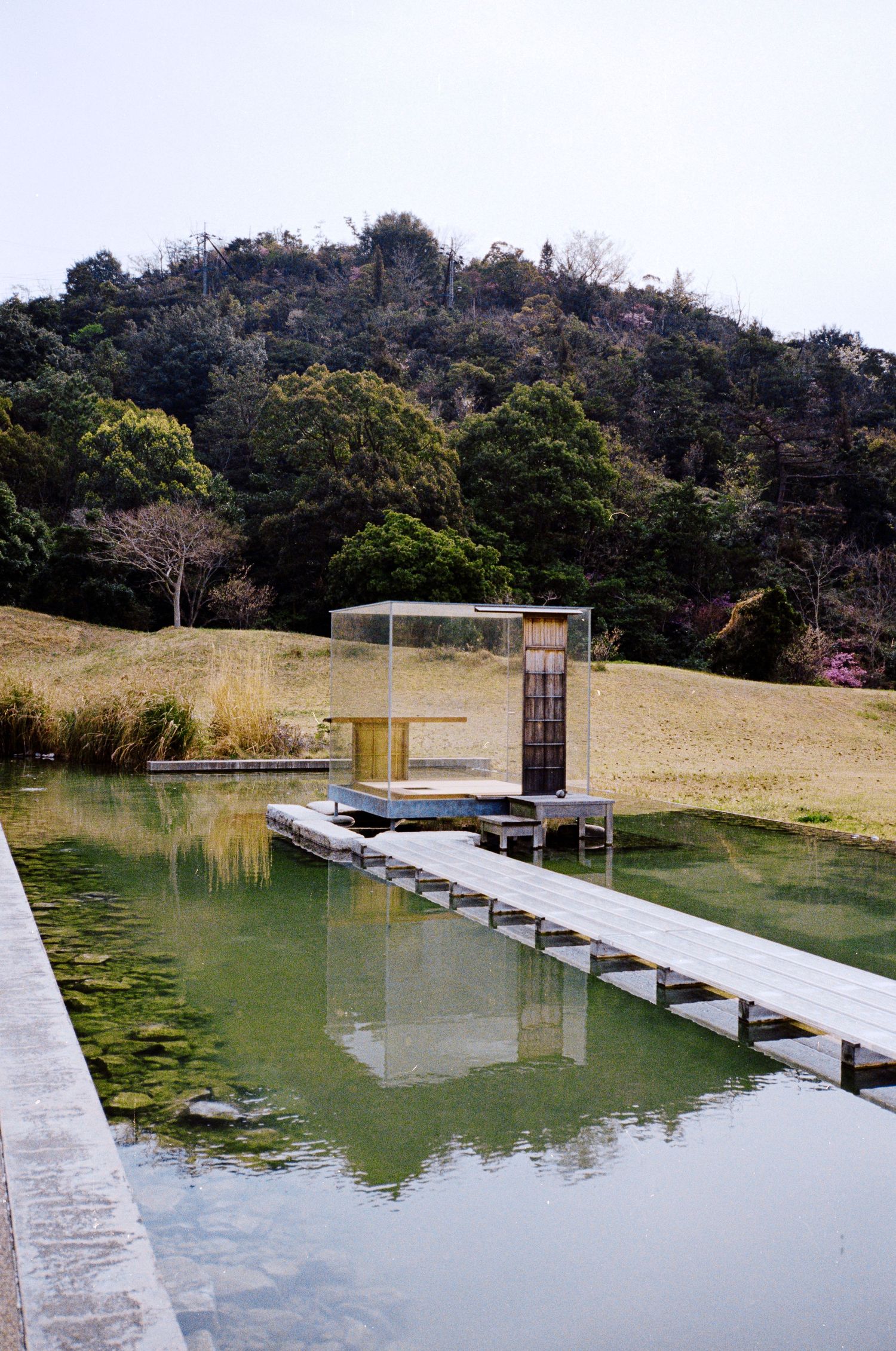 A concrete walkway extends into a tranquil pond surrounded by grassy hills and trees.