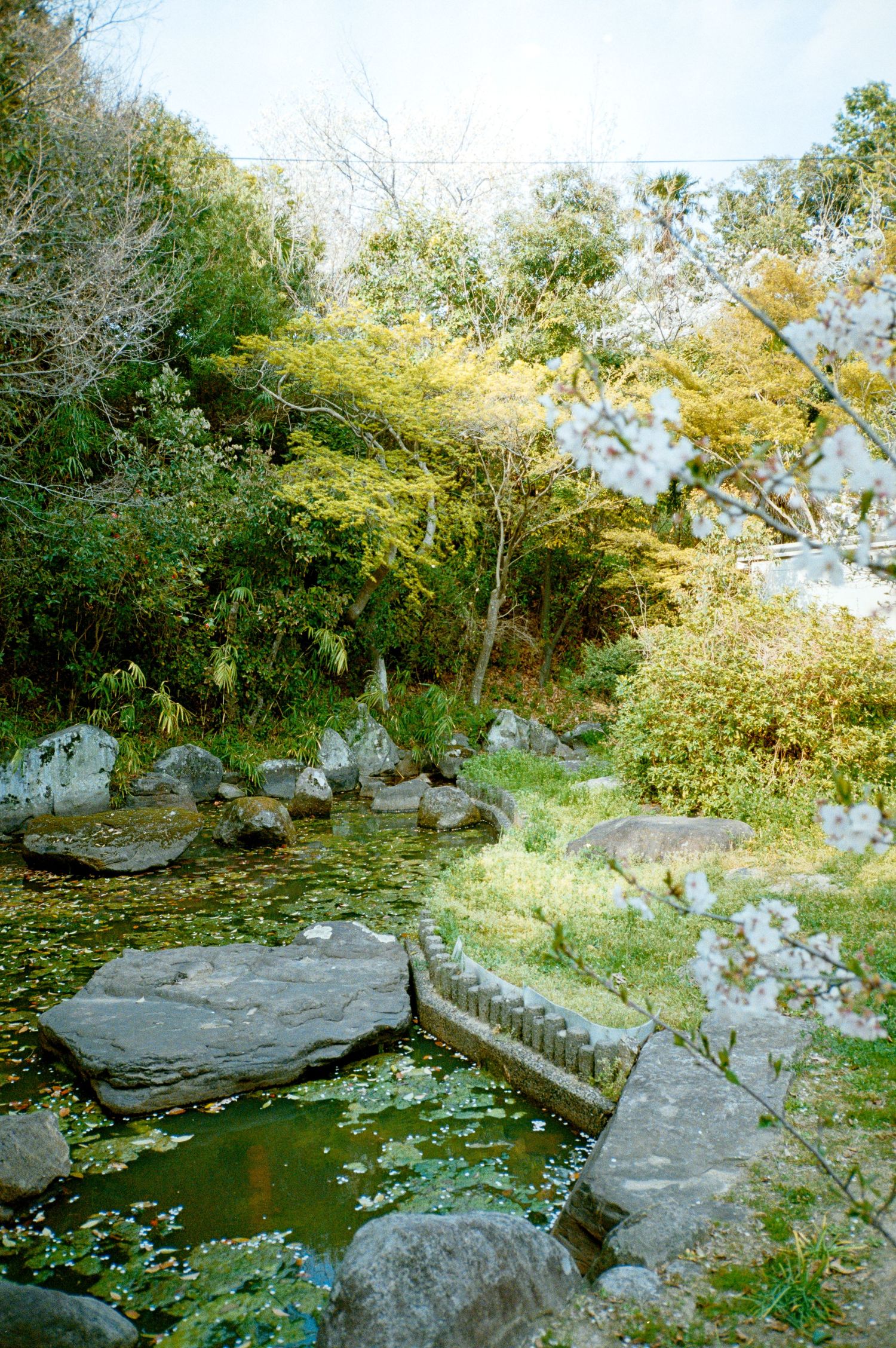 Natural rock garden with stone pathways and lush greenery surrounding a small pond.