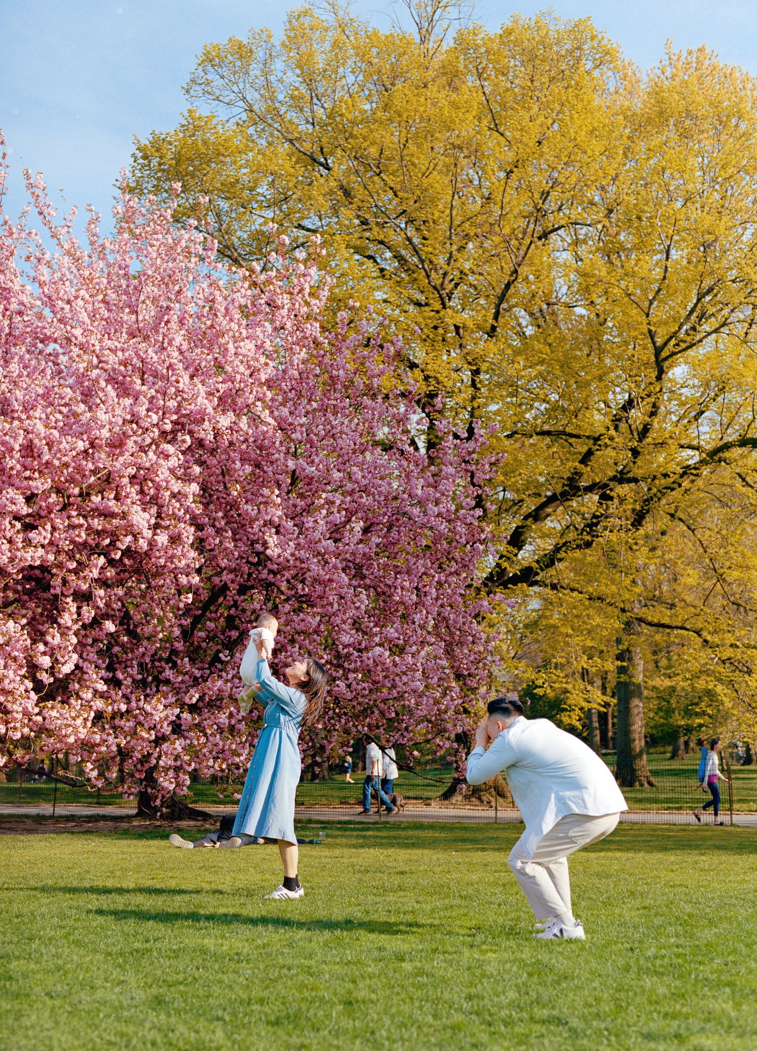 Korean family photography shoot in Spring in Central Park, shot on film