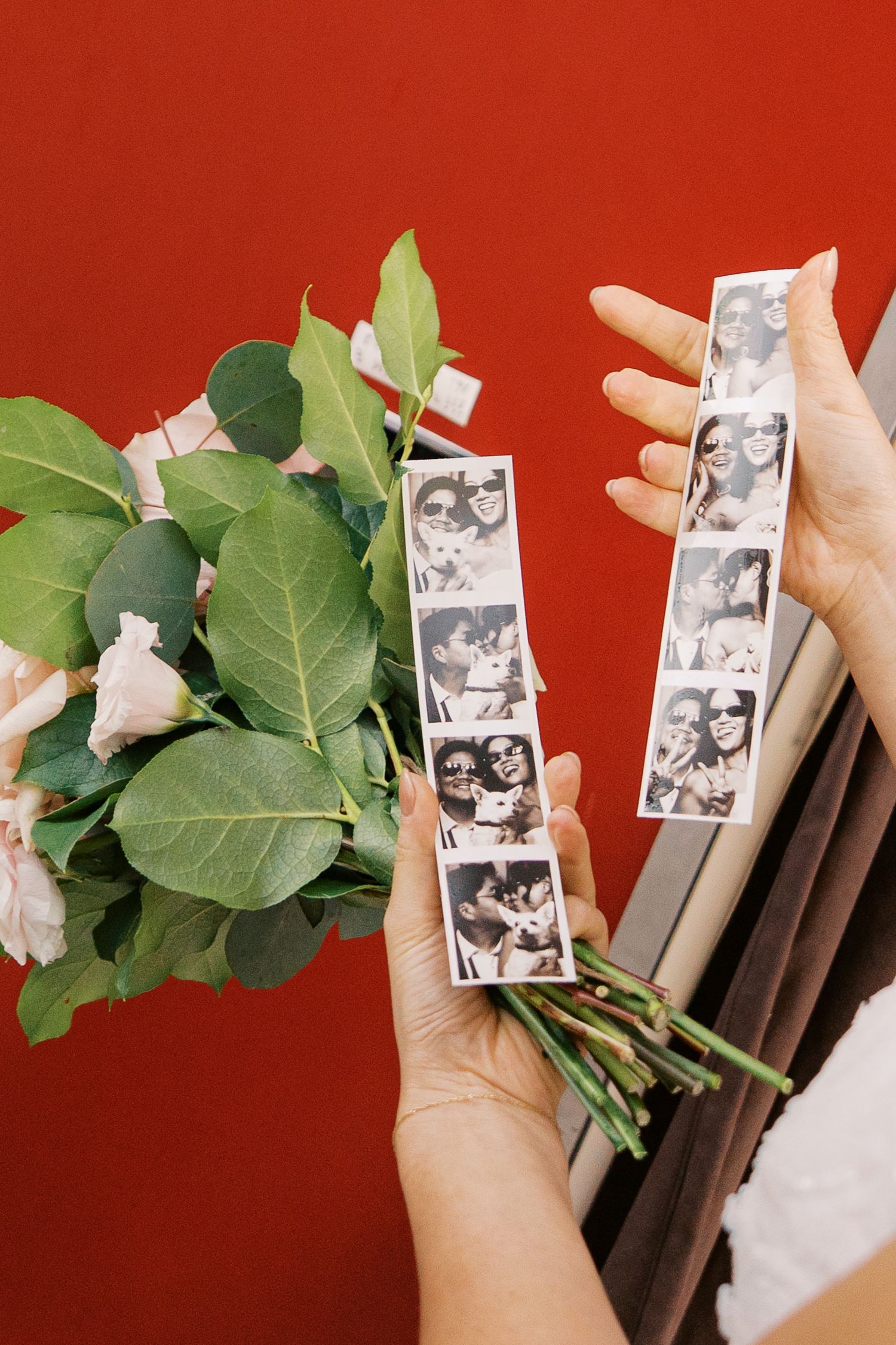 Photo strips and green leaves arranged against a vibrant red background.