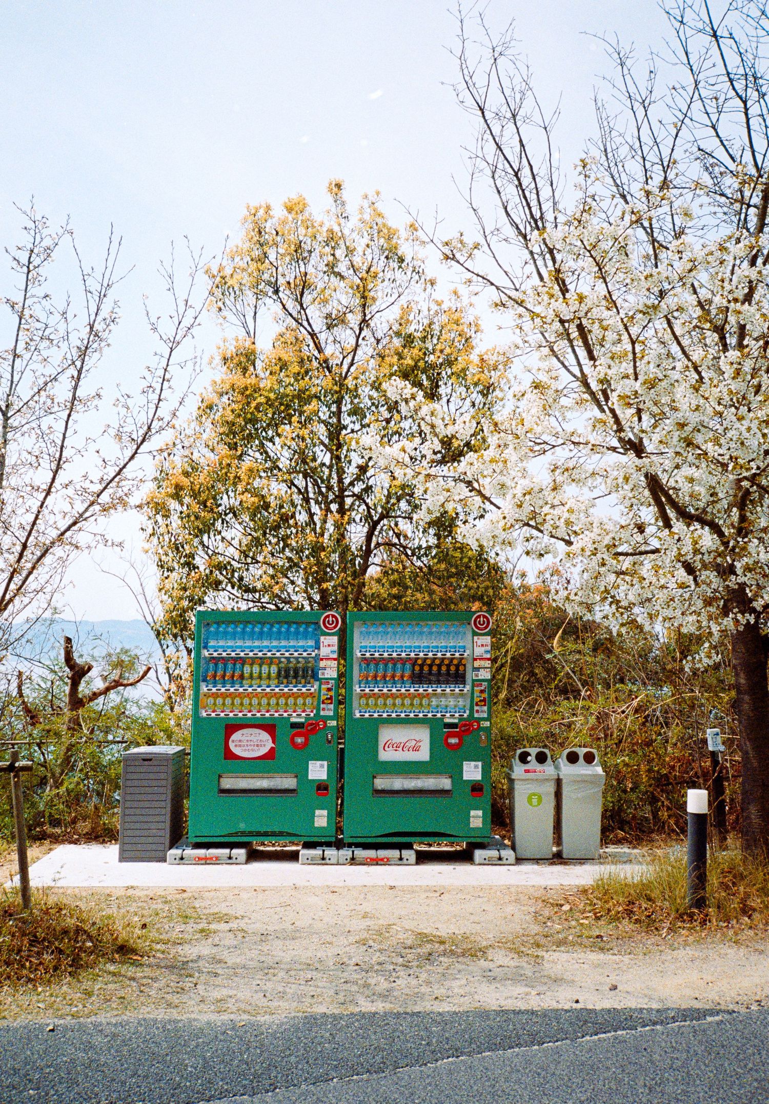 Green vending machines line up under blooming cherry trees in a rural setting.