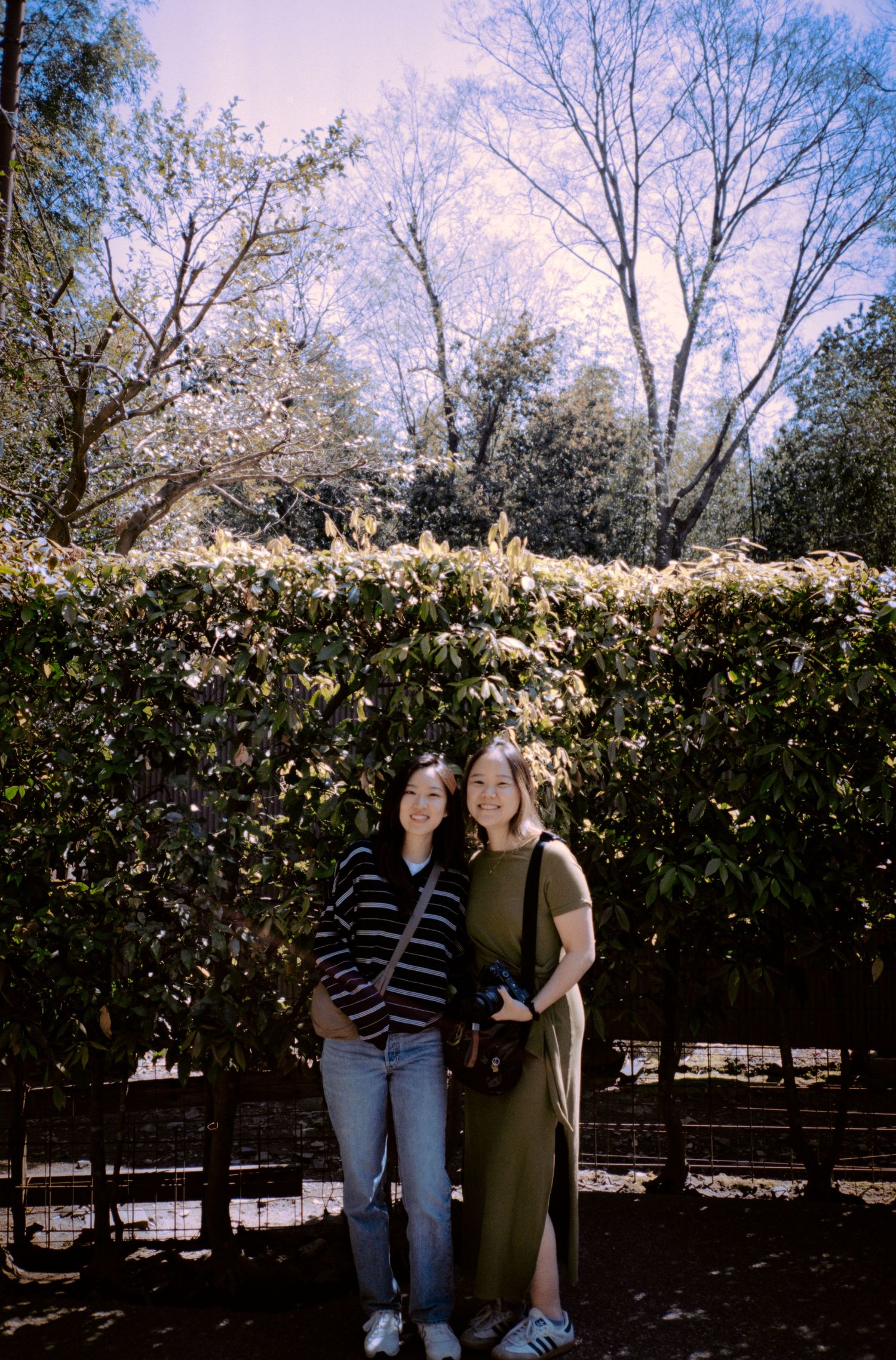 Two figures standing in front of a hedge with blooming trees in the background.
